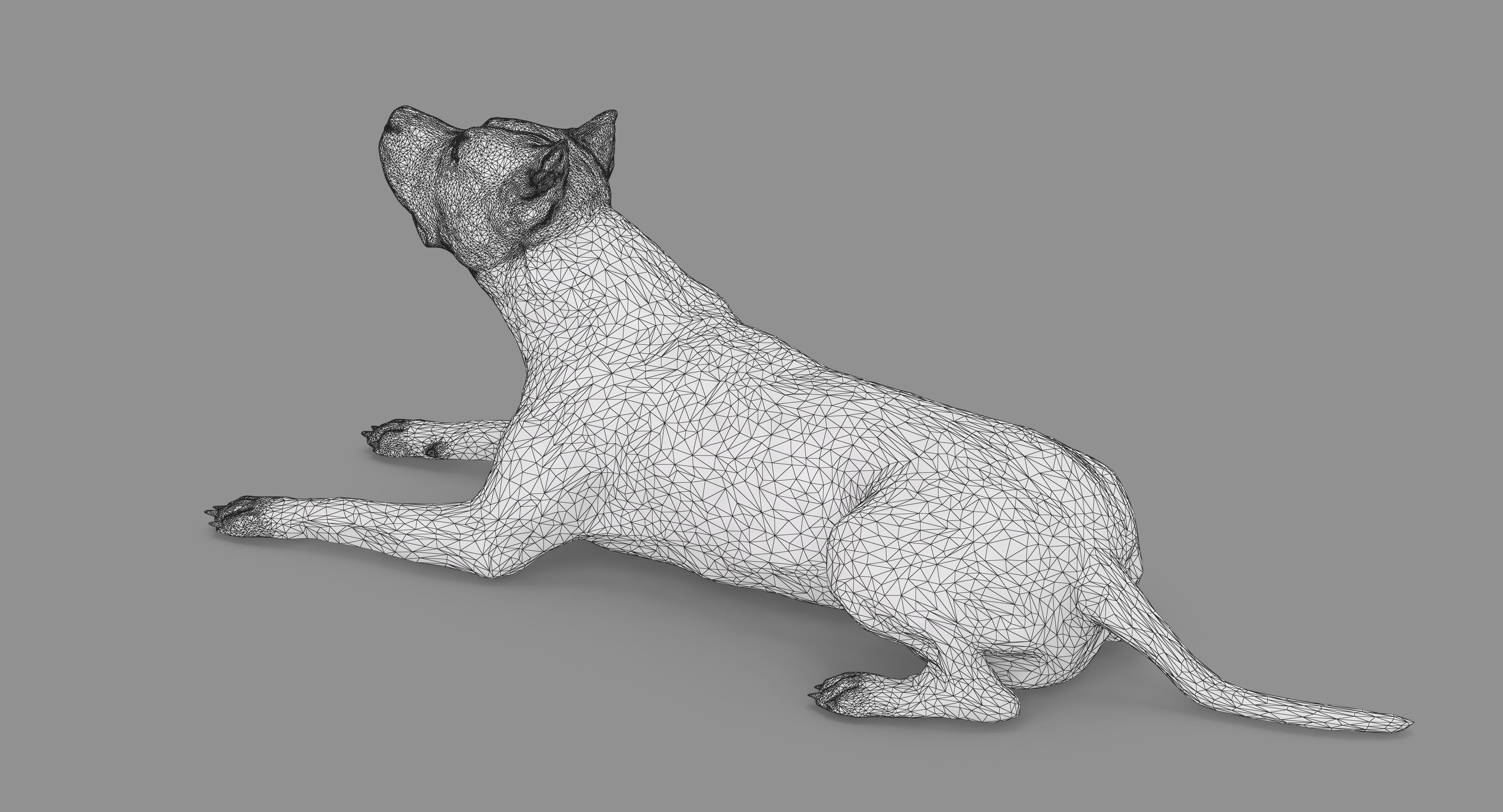 Staffordshire Terrier Collection x2 _108