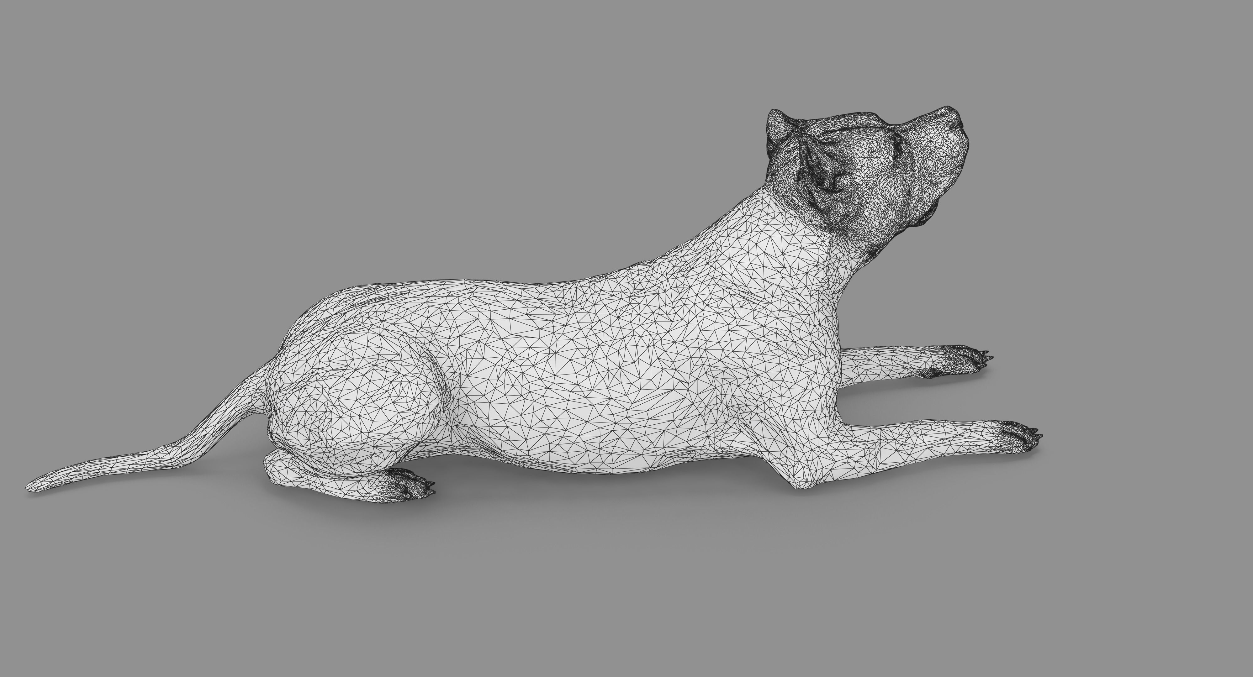 Staffordshire Terrier Collection x2 _93