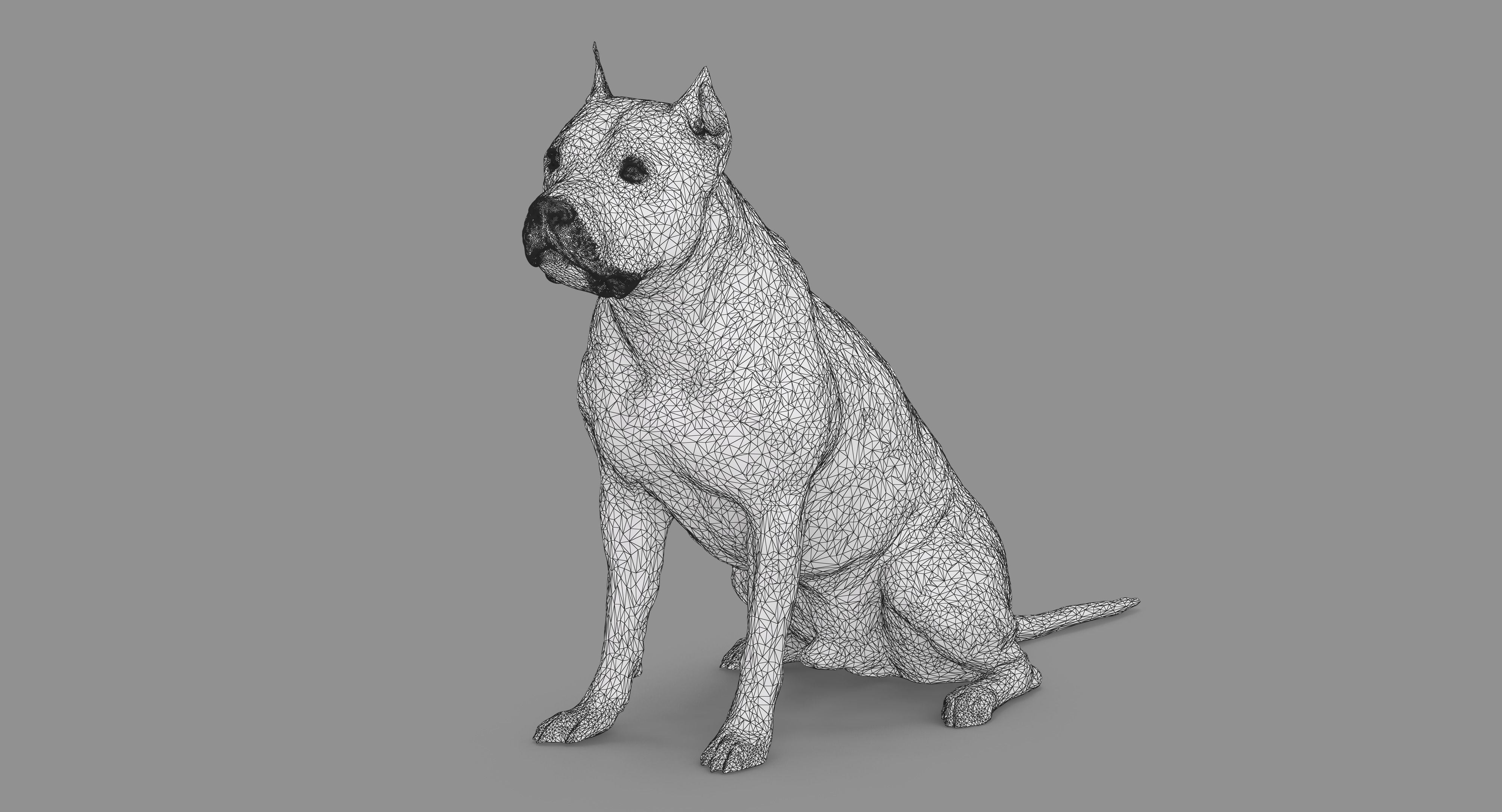 Staffordshire Terrier Collection x2 _53