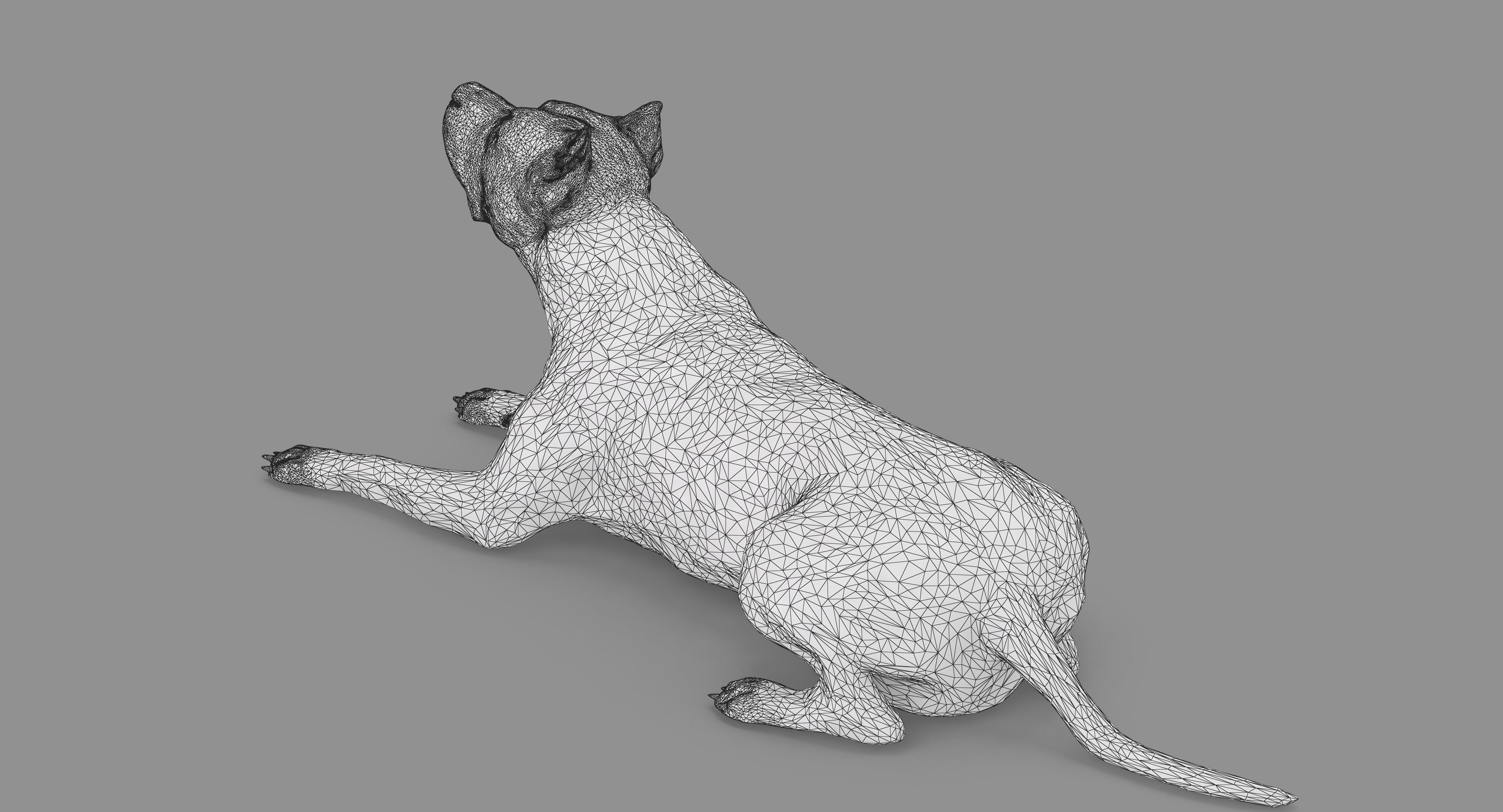 Staffordshire Terrier Collection x2 _106