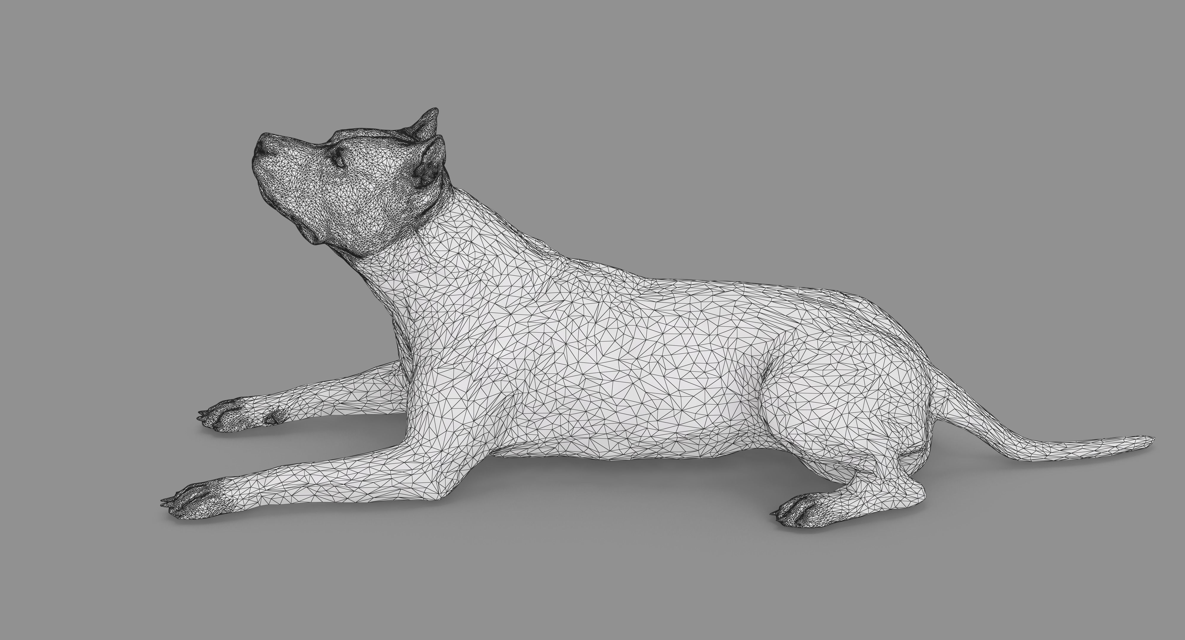 Staffordshire Terrier Collection x2 _102