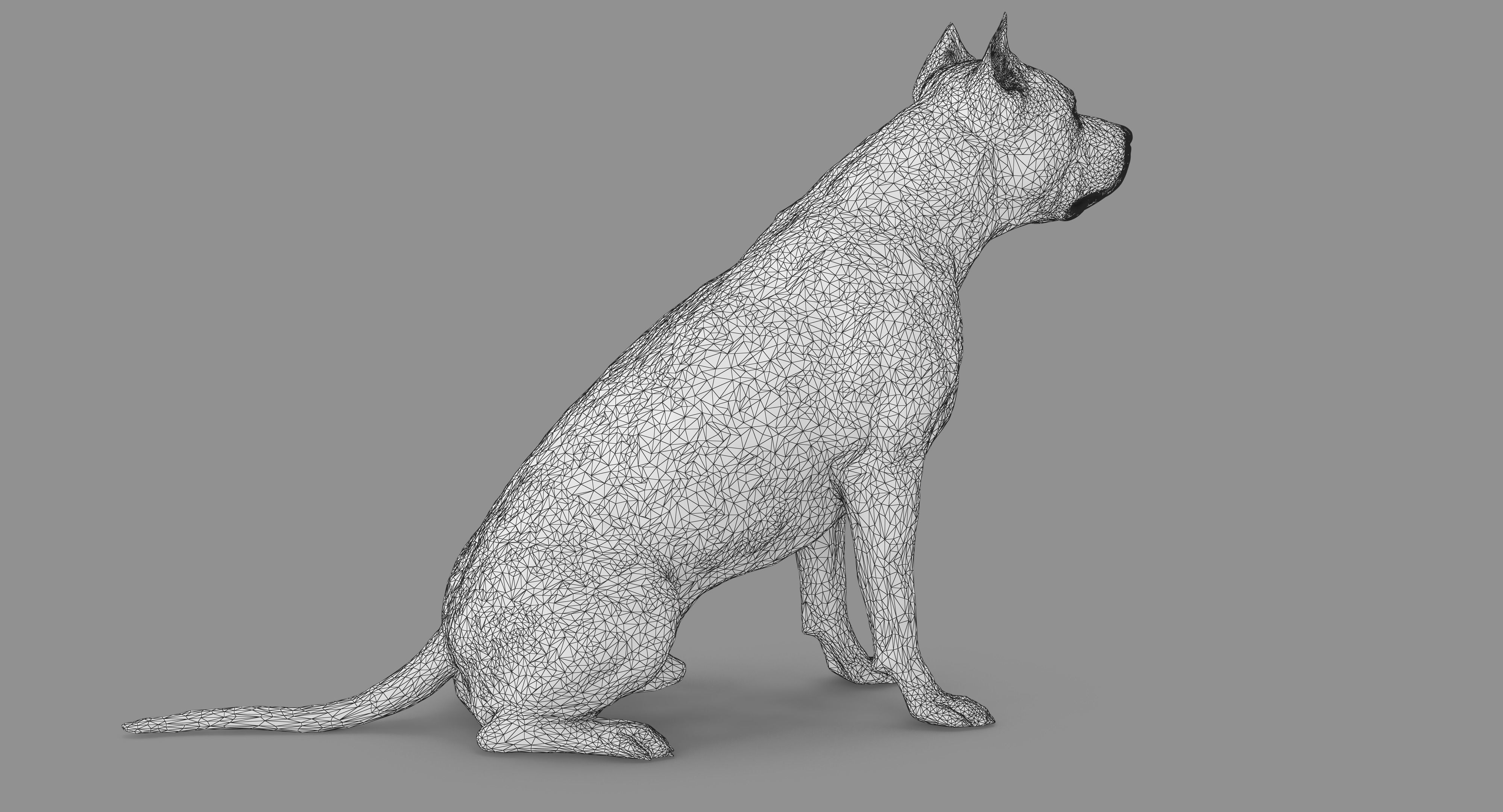 Staffordshire Terrier Collection x2 _52