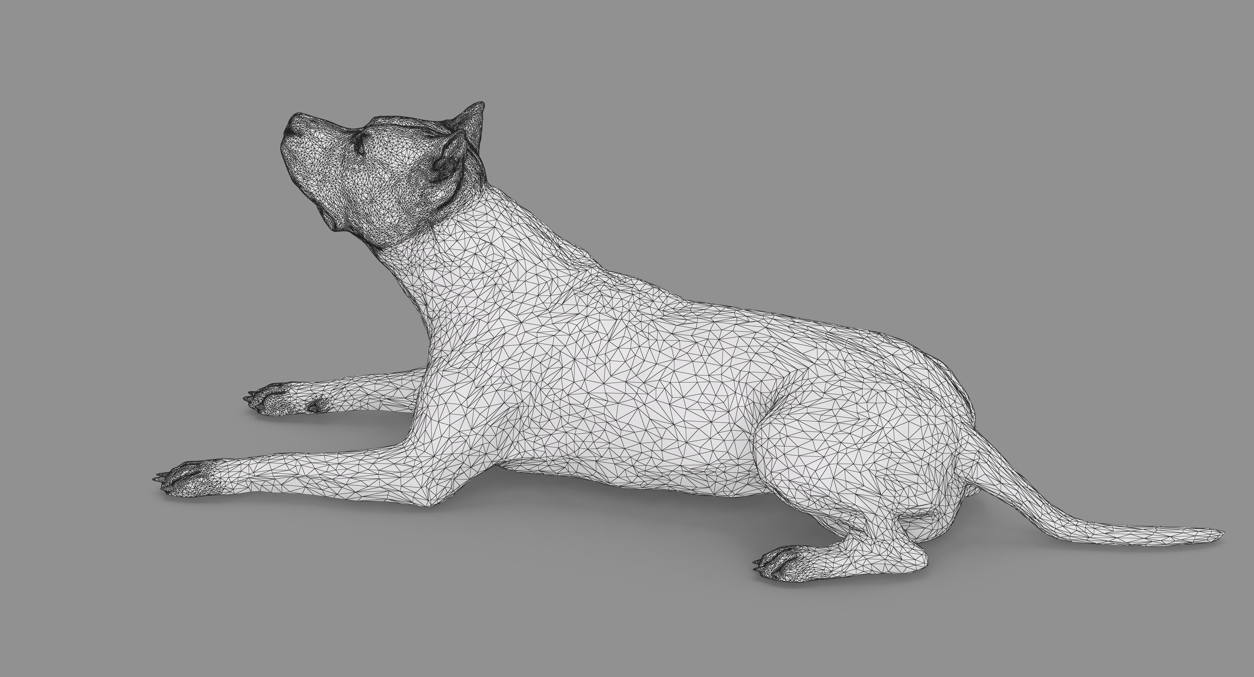 Staffordshire Terrier Collection x2 _110