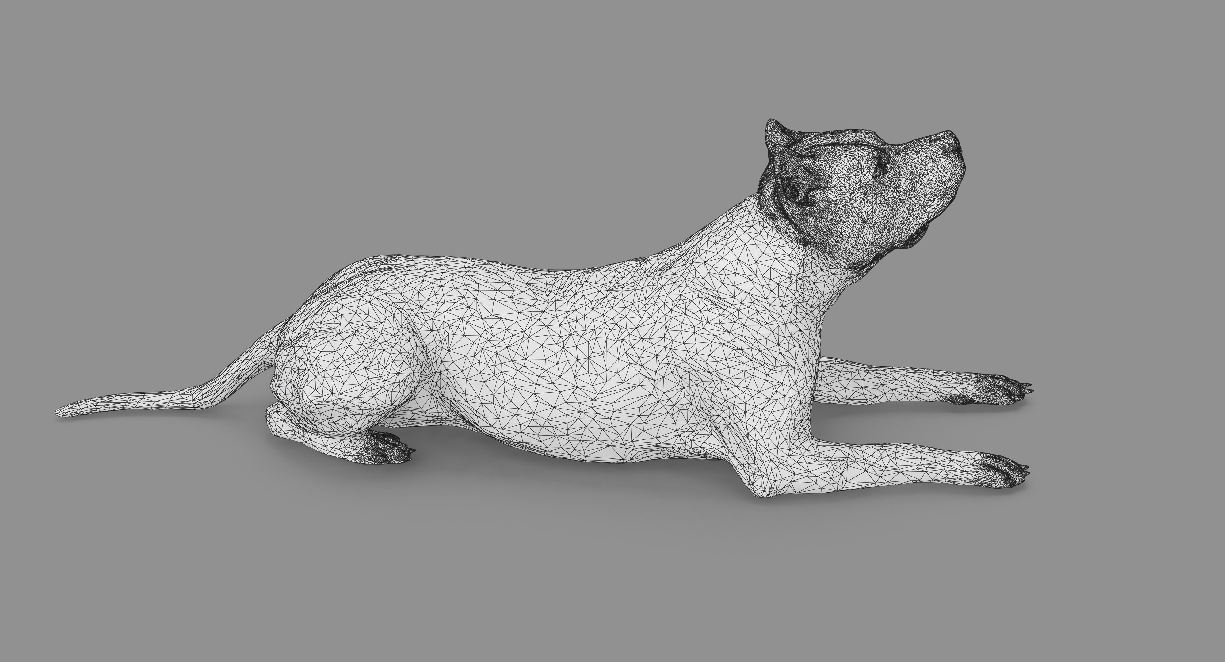 Staffordshire Terrier Collection x2 _83