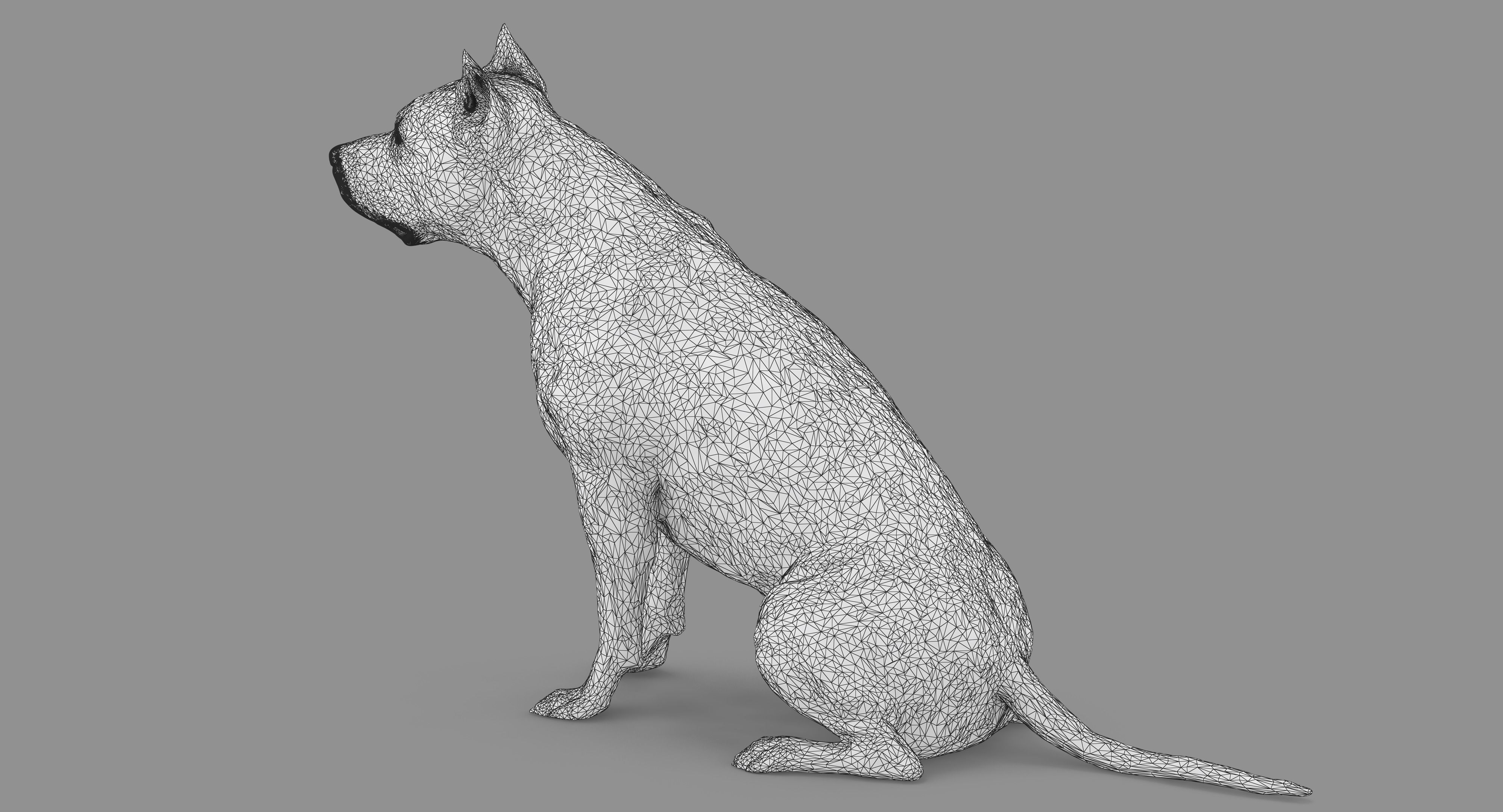 Staffordshire Terrier Collection x2 _42