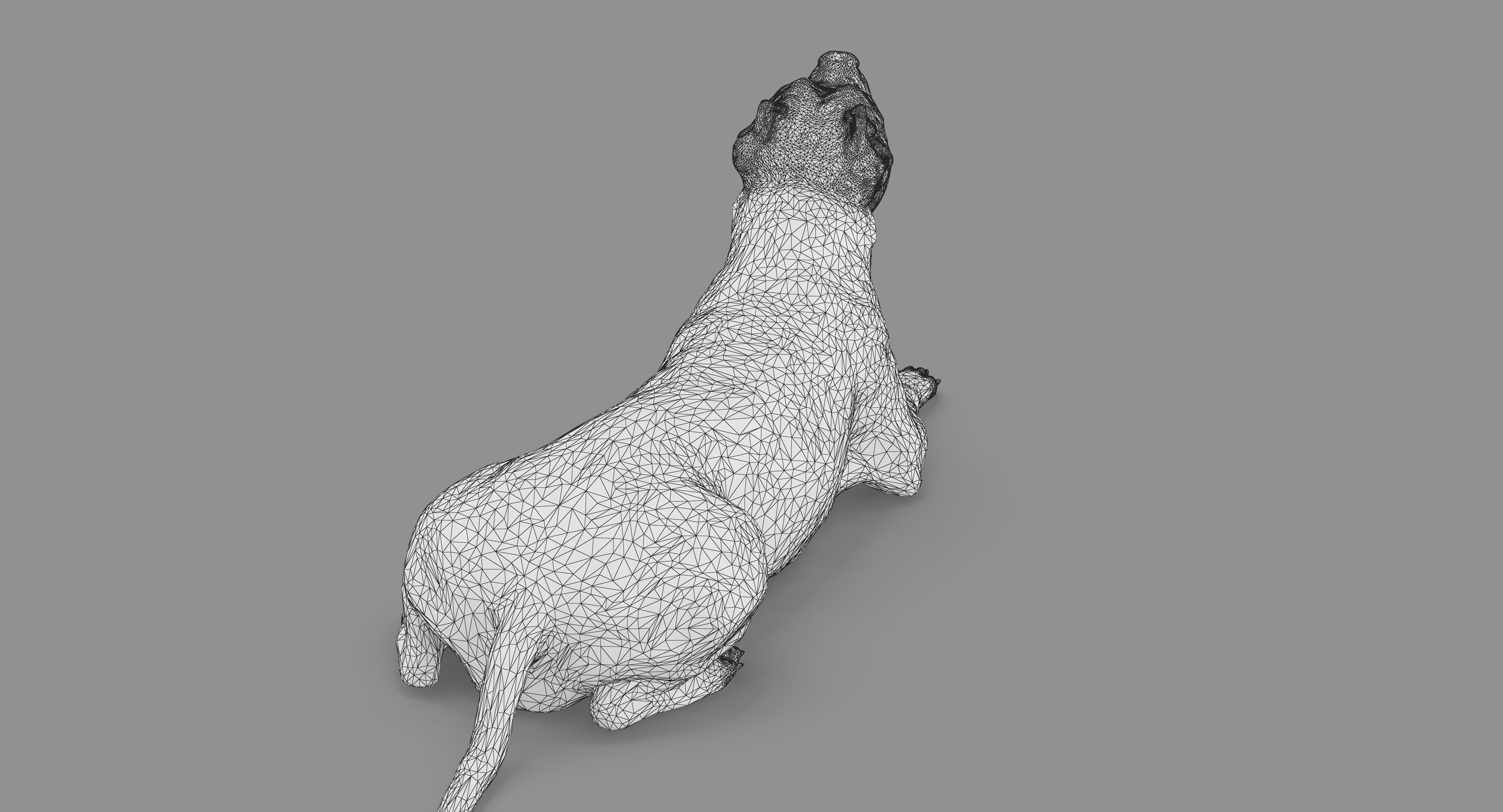 Staffordshire Terrier Collection x2 _87