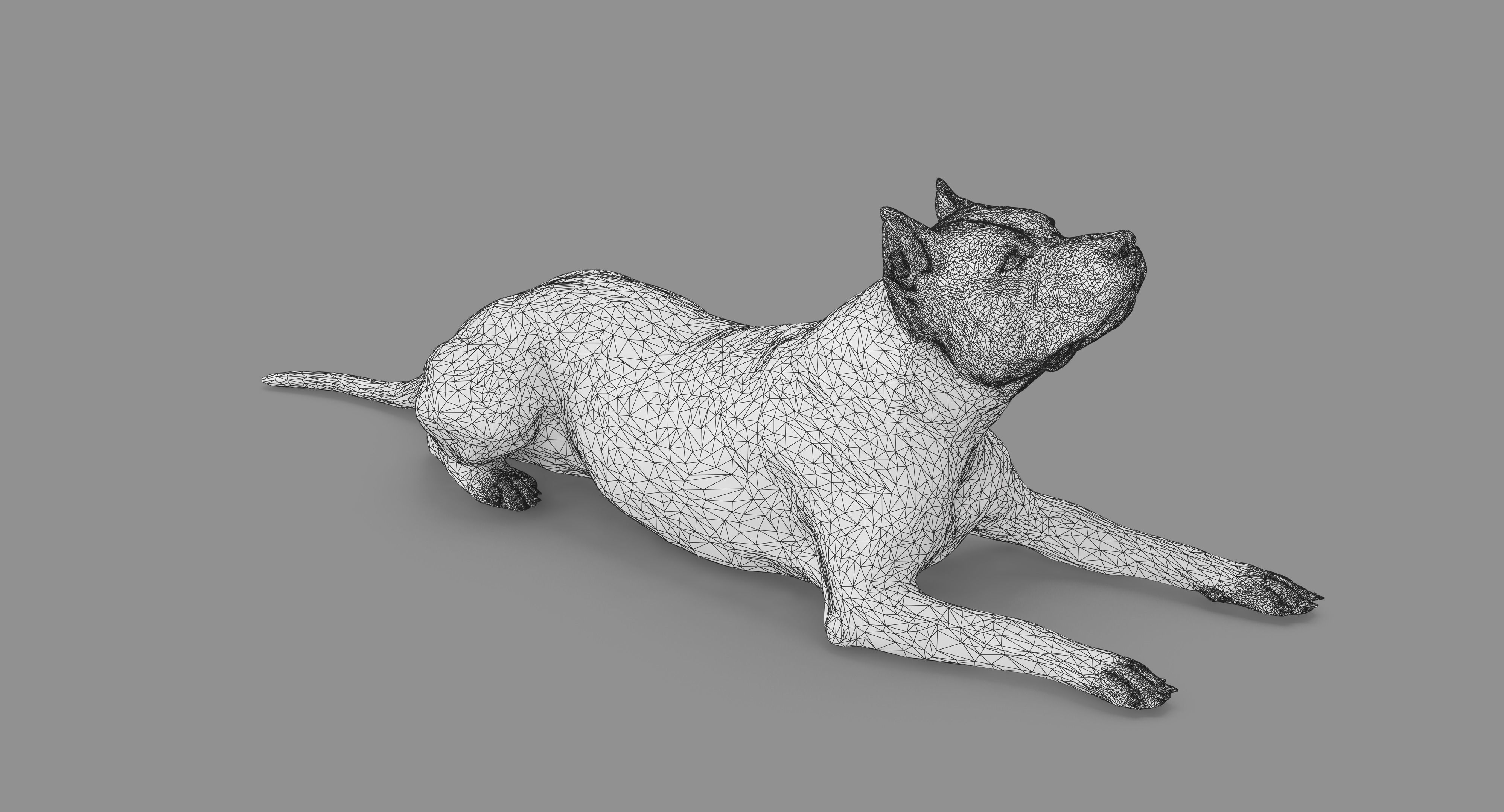 Staffordshire Terrier Collection x2 _79