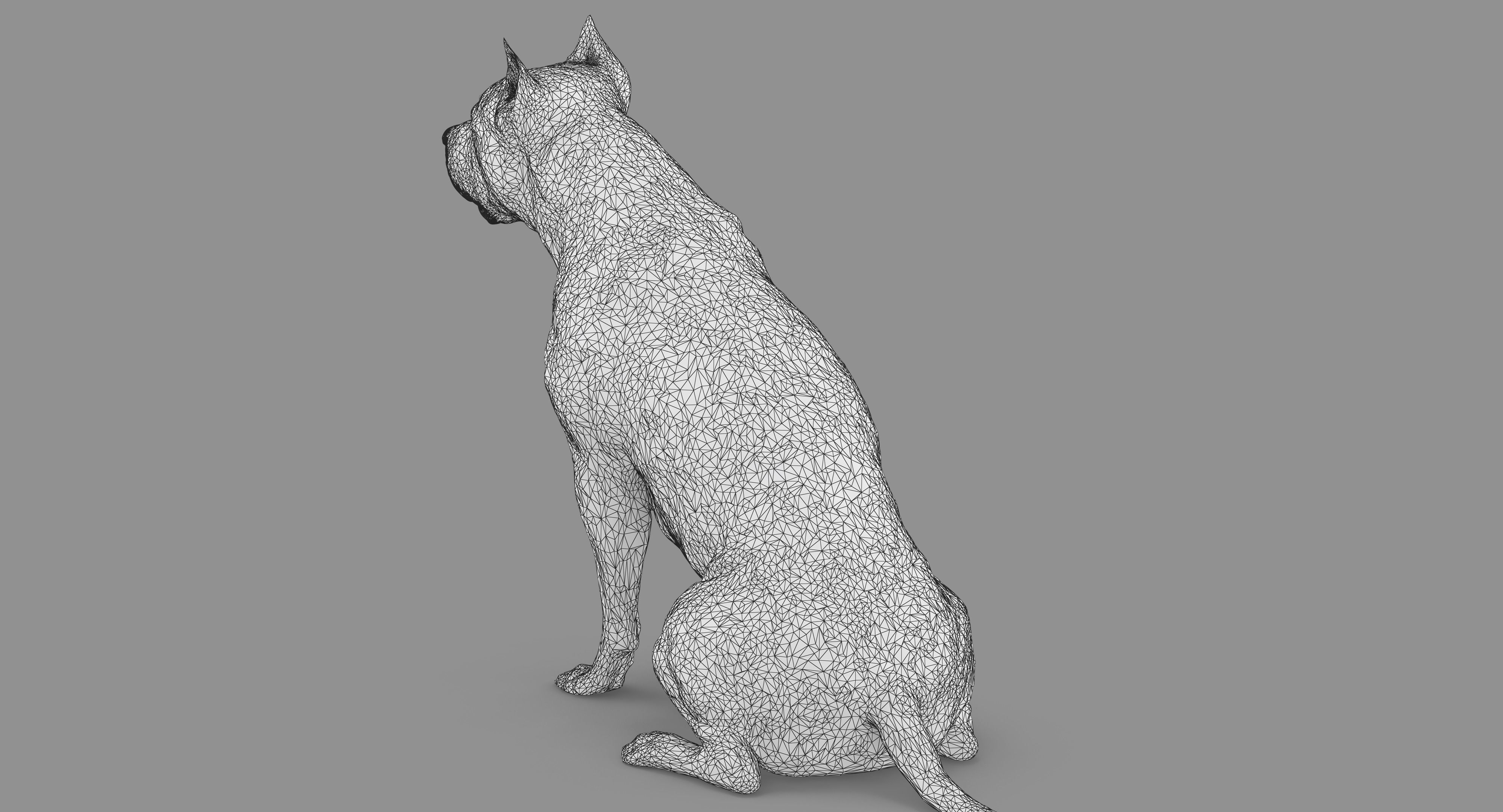 Staffordshire Terrier Collection x2 _58