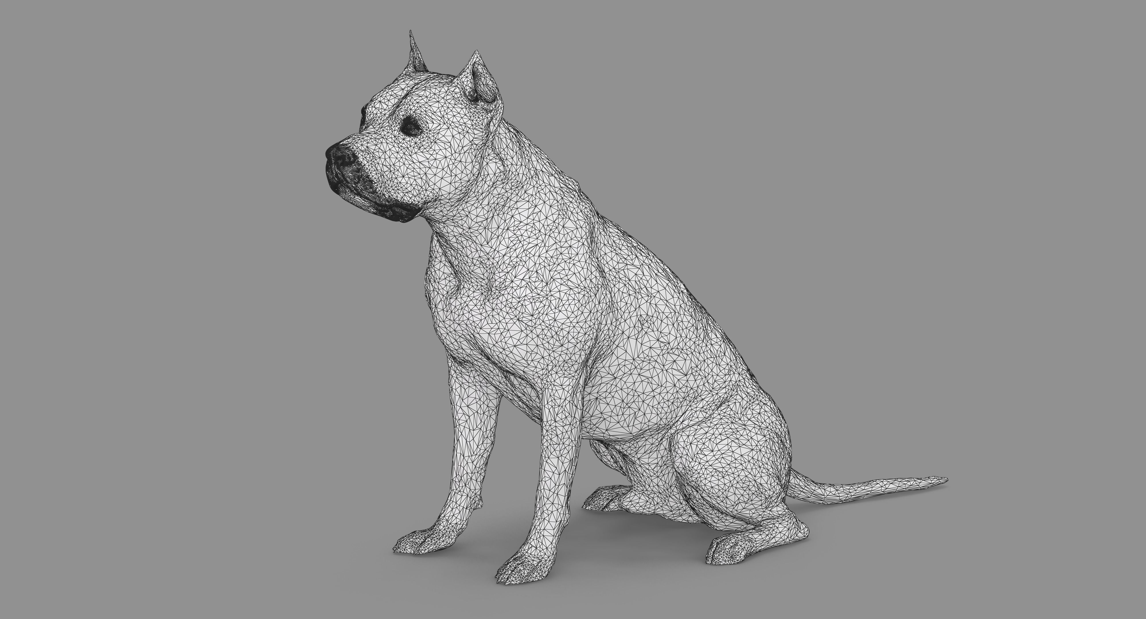 Staffordshire Terrier Collection x2 _56