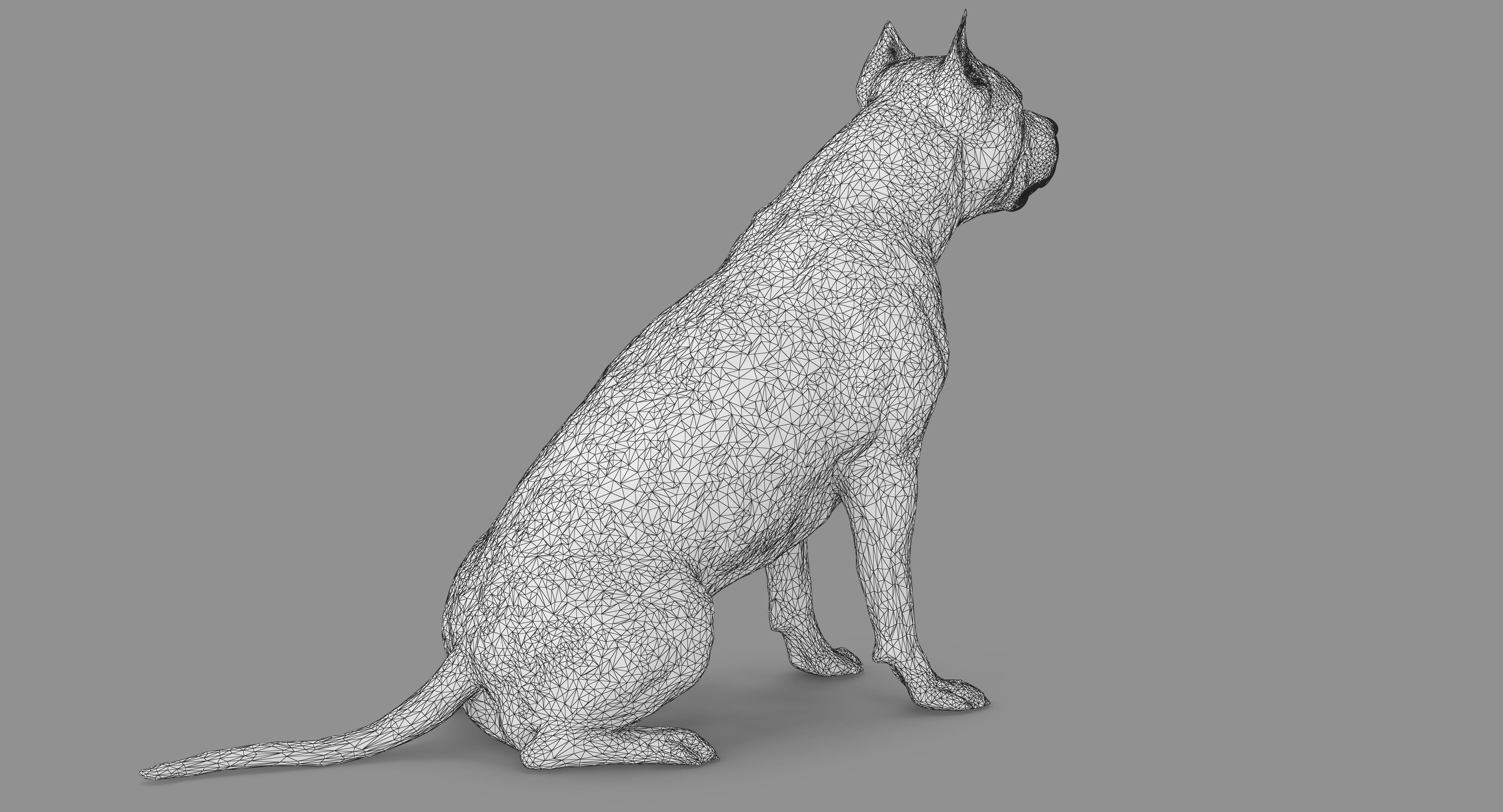 Staffordshire Terrier Collection x2 _32