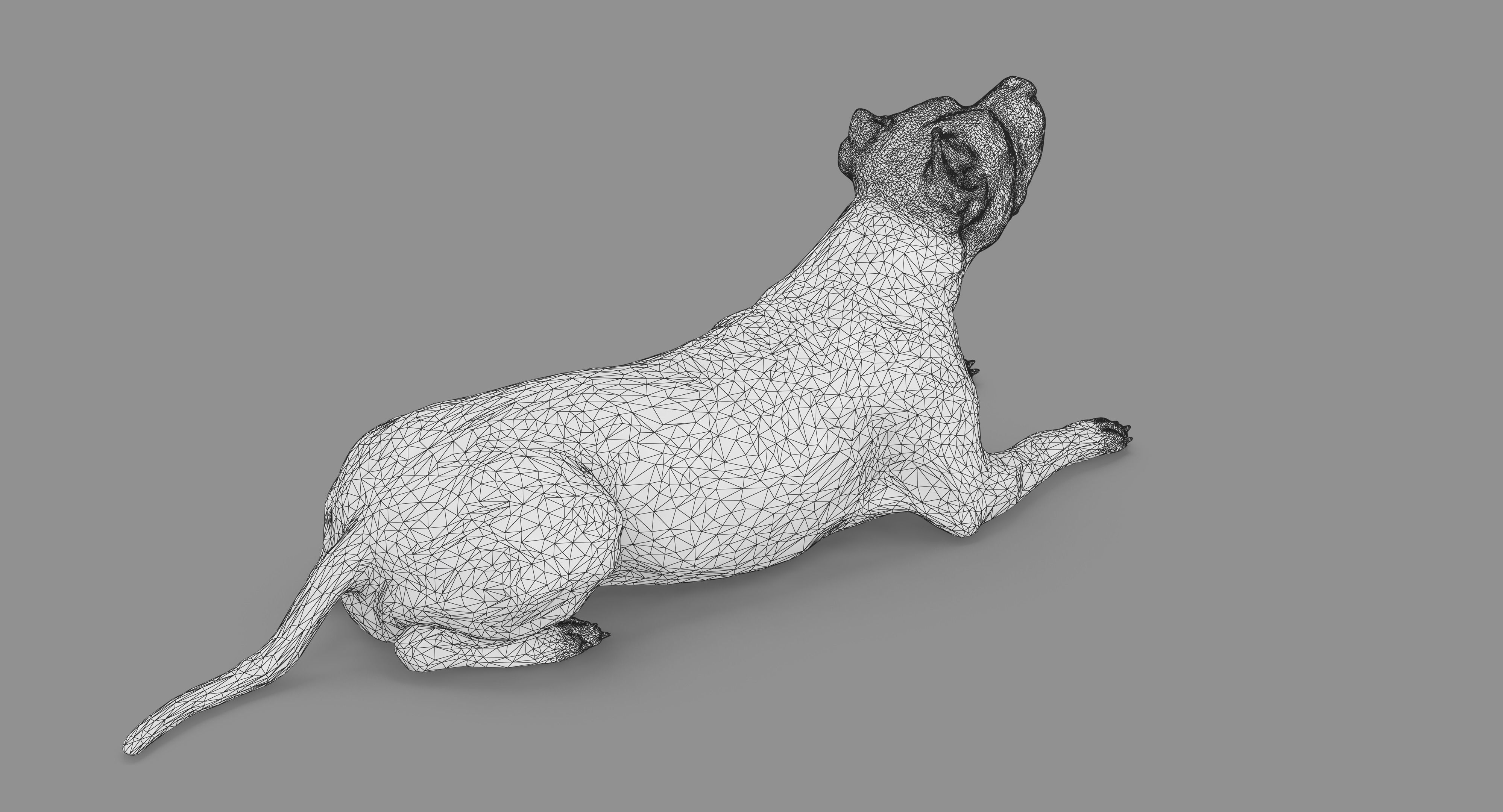 Staffordshire Terrier Collection x2 _89