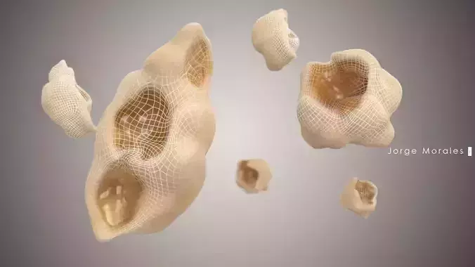 popcorn group of shells