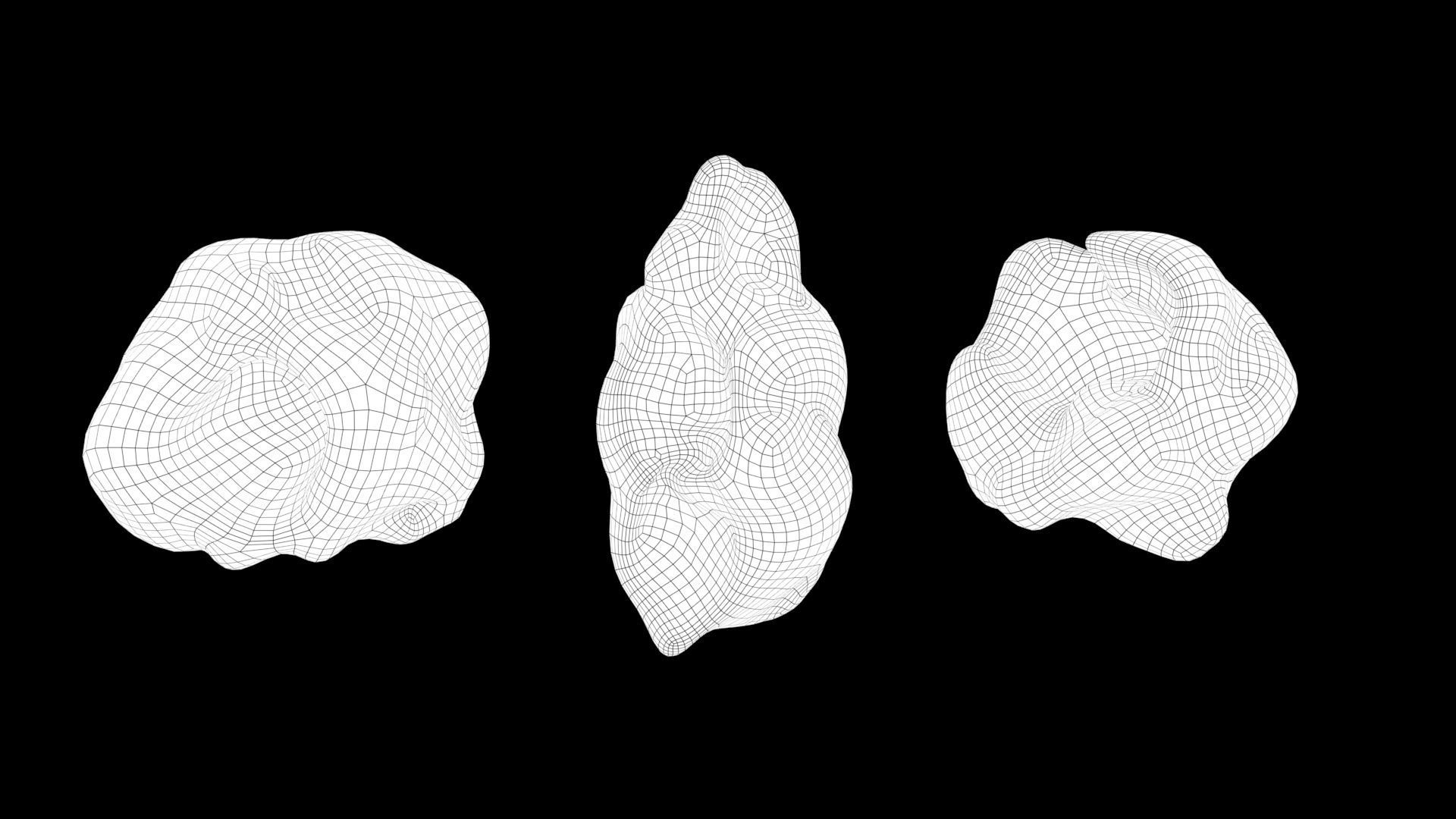 popcorn group of shells 3D model_2