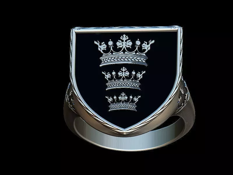 King s Arthur coat of arms ring 3D print model_0