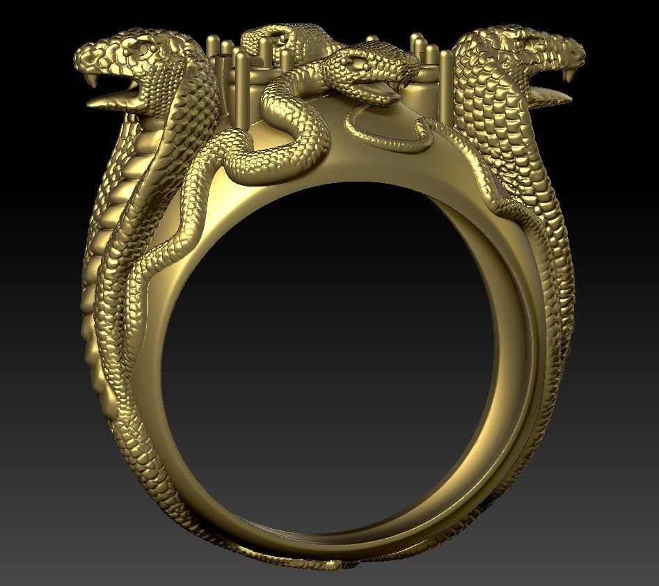 ring four snakes 3D print model_11