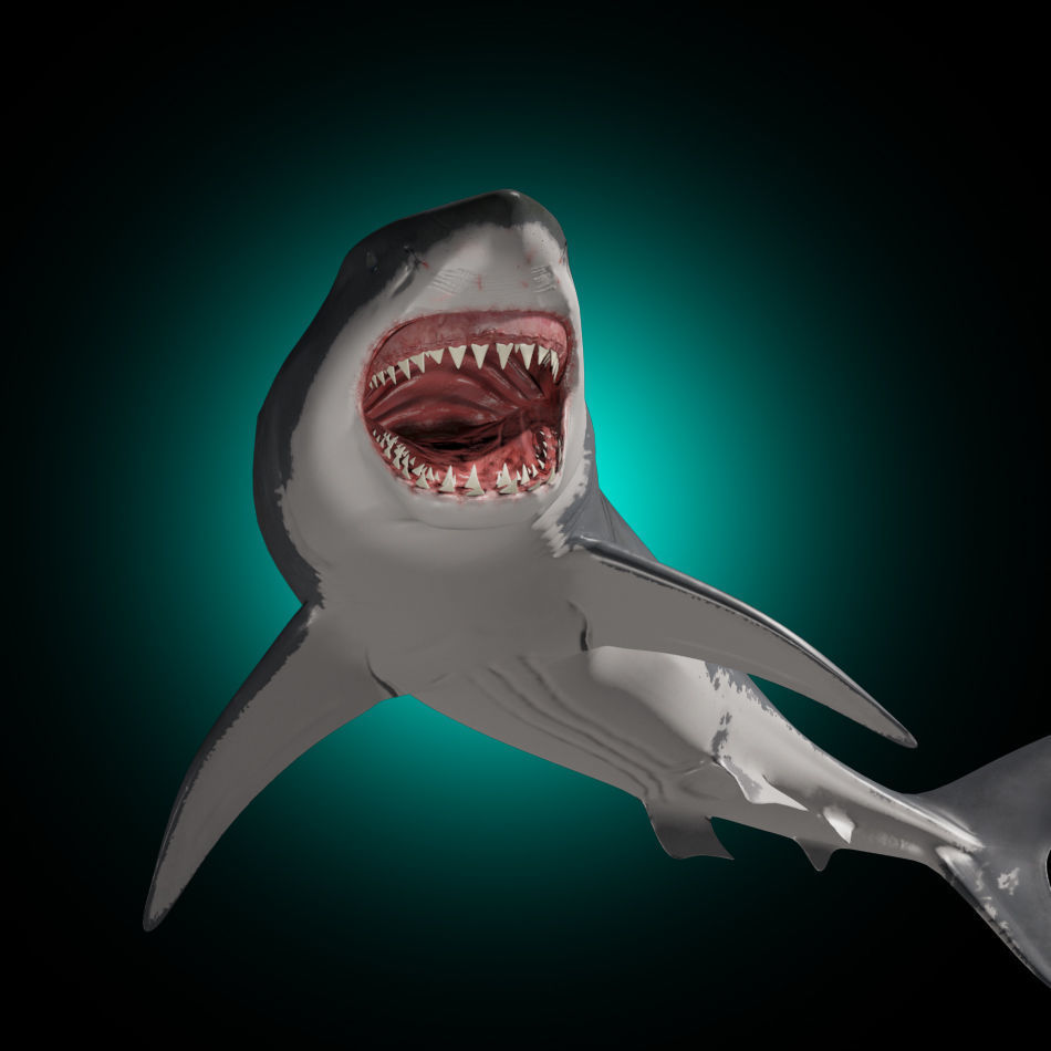 Megalodon - 3d animated Great White Shark ancestor Low-poly 3D model_5