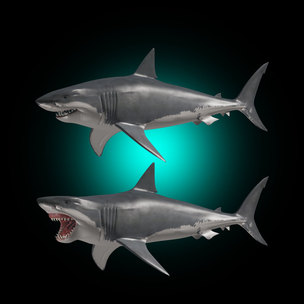 Megalodon - 3d animated Great White Shark ancestor Low-poly 3D model_7