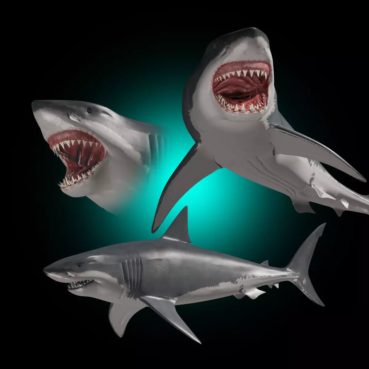 Megalodon - 3d animated Great White Shark ancestor Low-poly 3D model_0