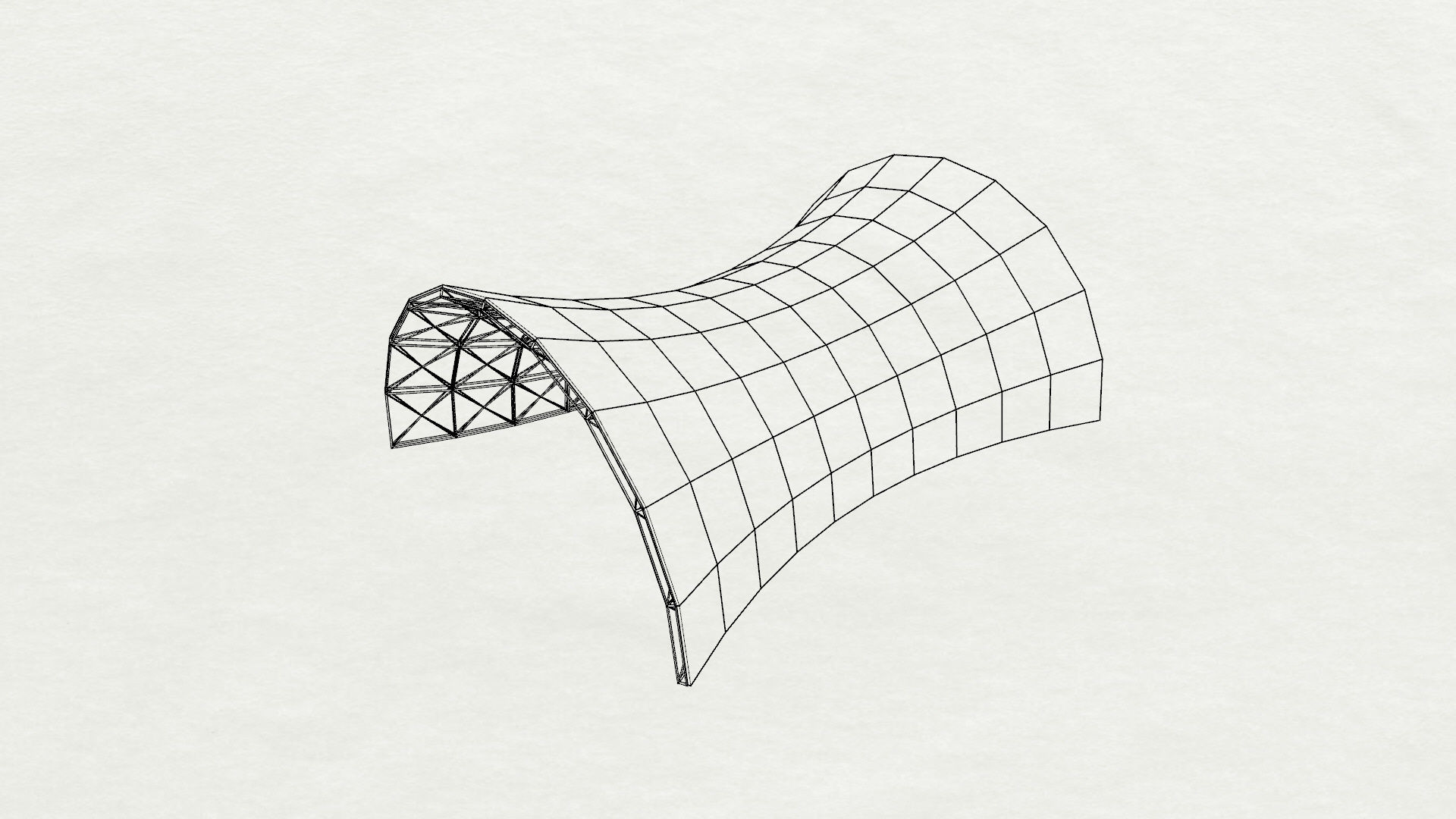 Architectural spaceframe arched structure  3D model_21