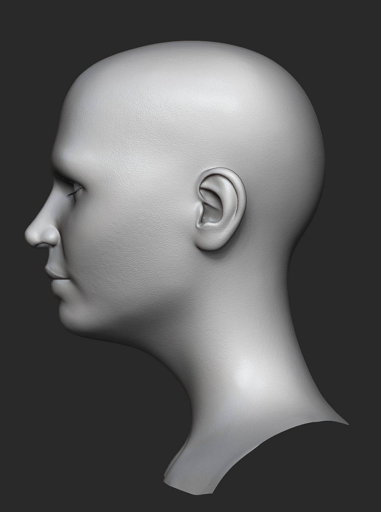 Realistic Female Head 3D Model 3D model_9