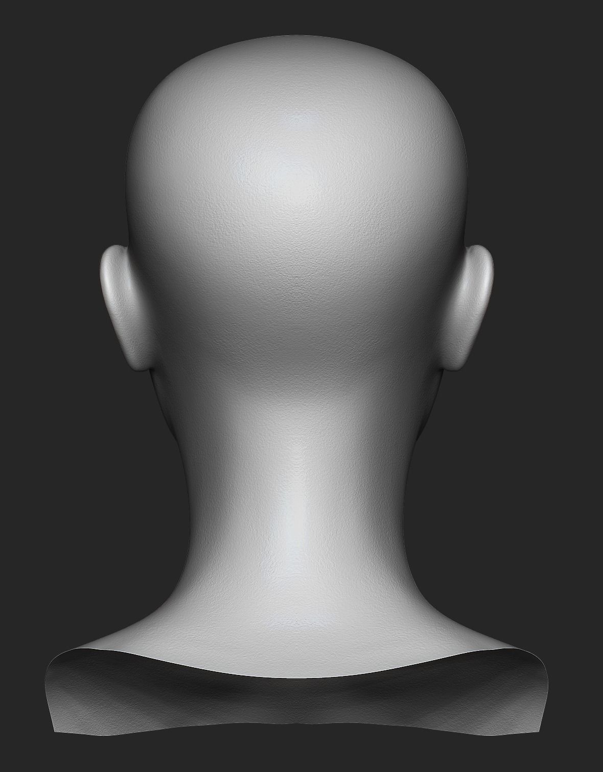 Realistic Female Head 3D Model 3D model_10