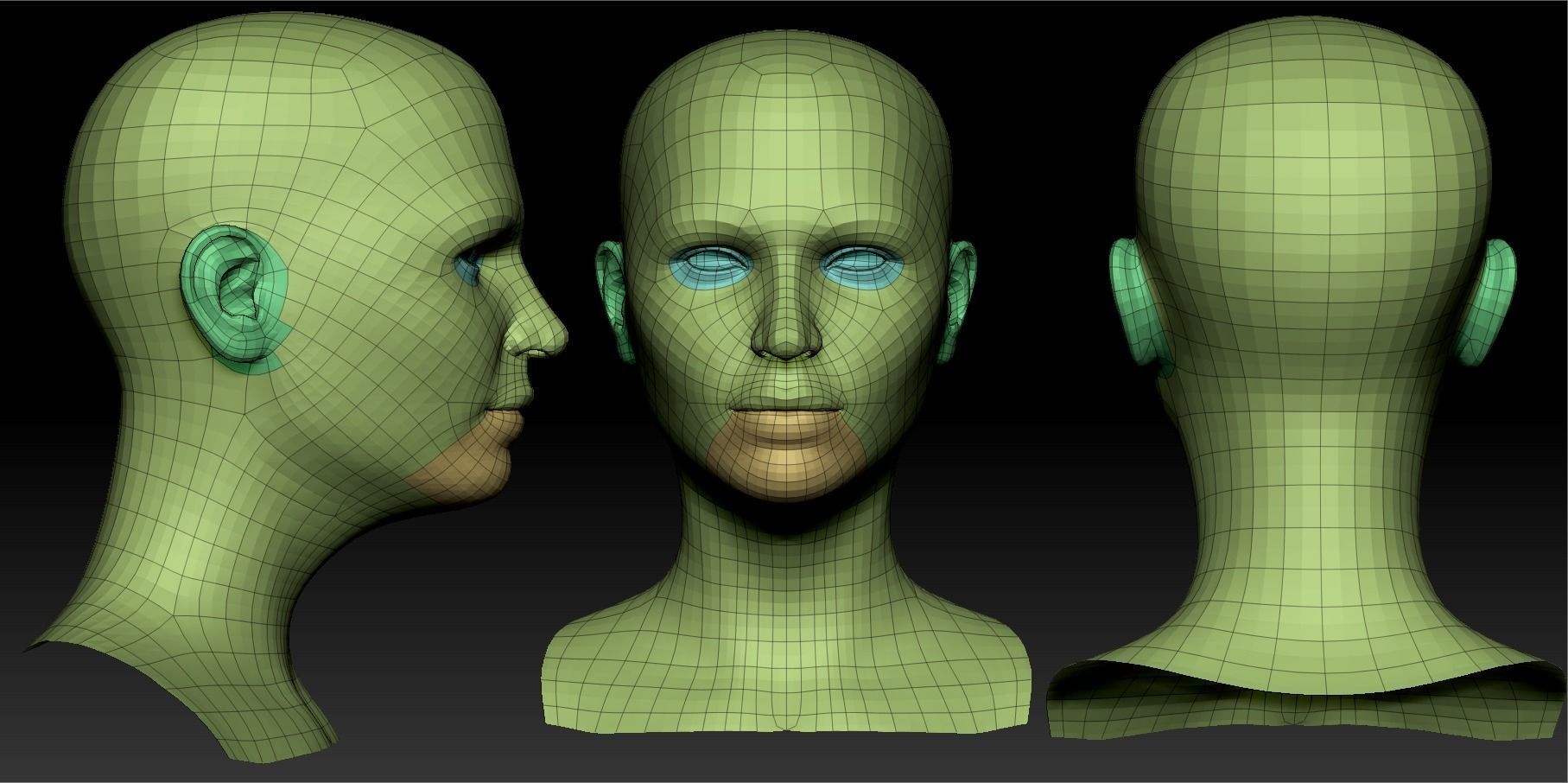 Realistic Female Head 3D Model 3D model_11