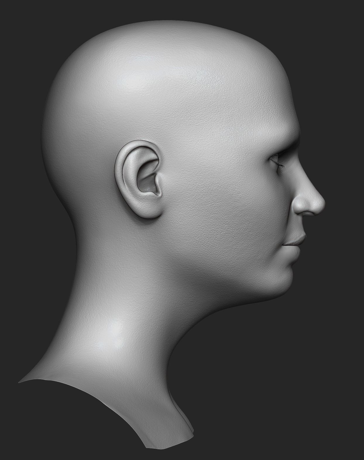 Realistic Female Head 3D Model 3D model_8