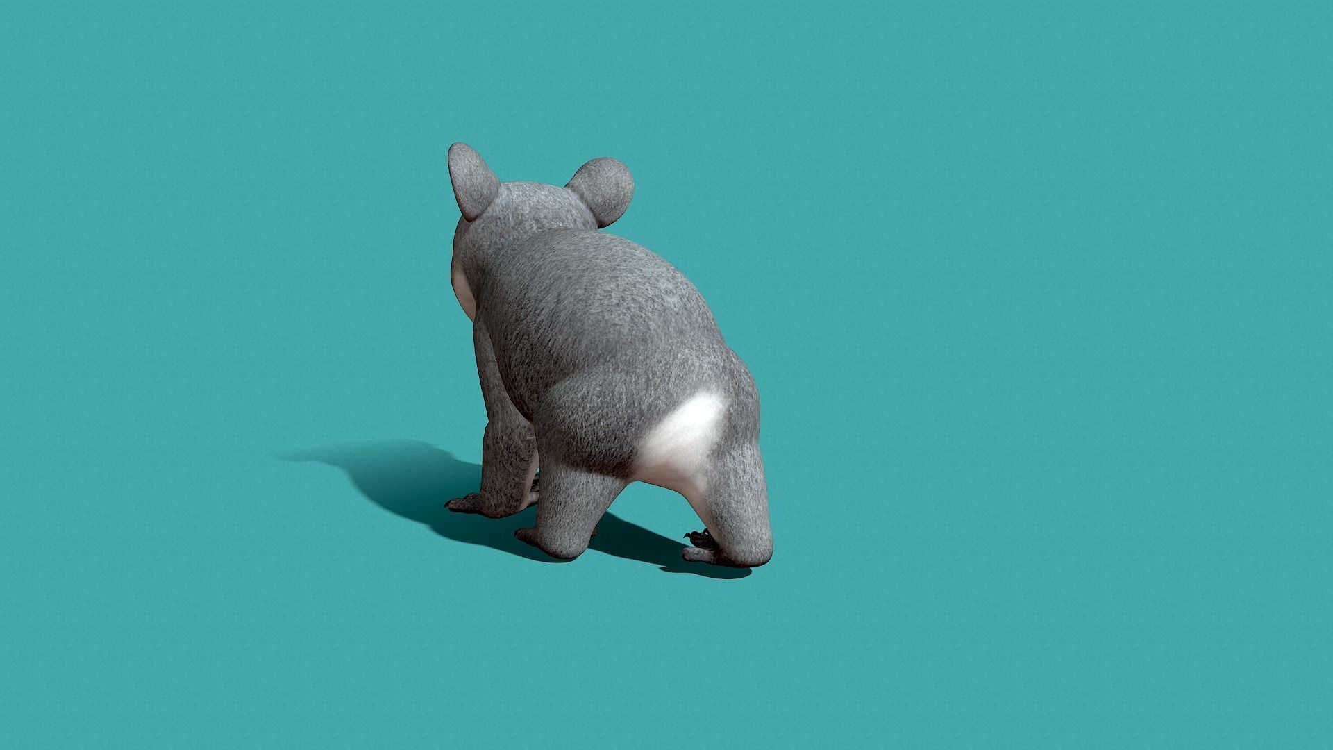 Koala Rigged 3D model_16