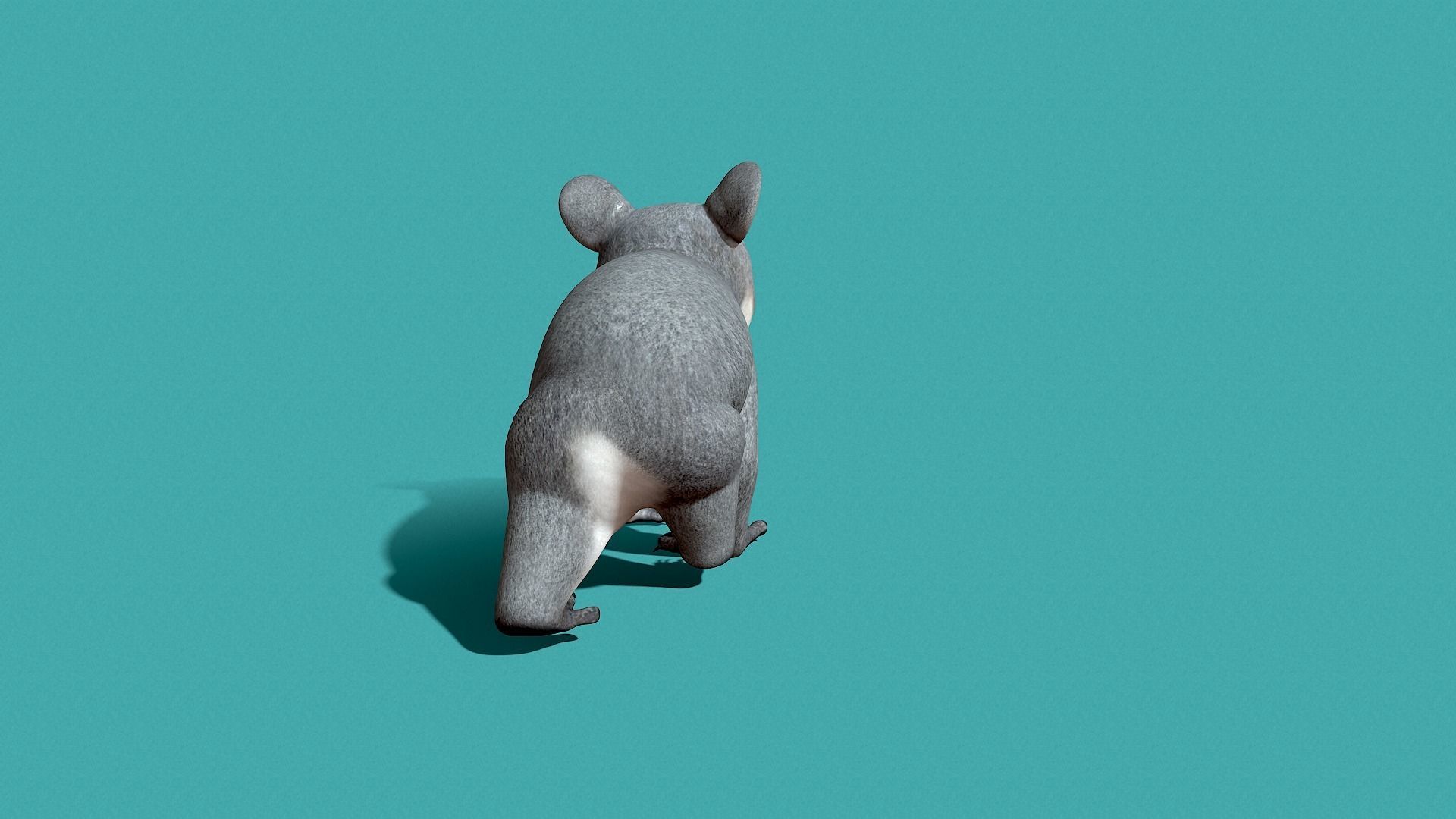 Koala Rigged 3D model_14