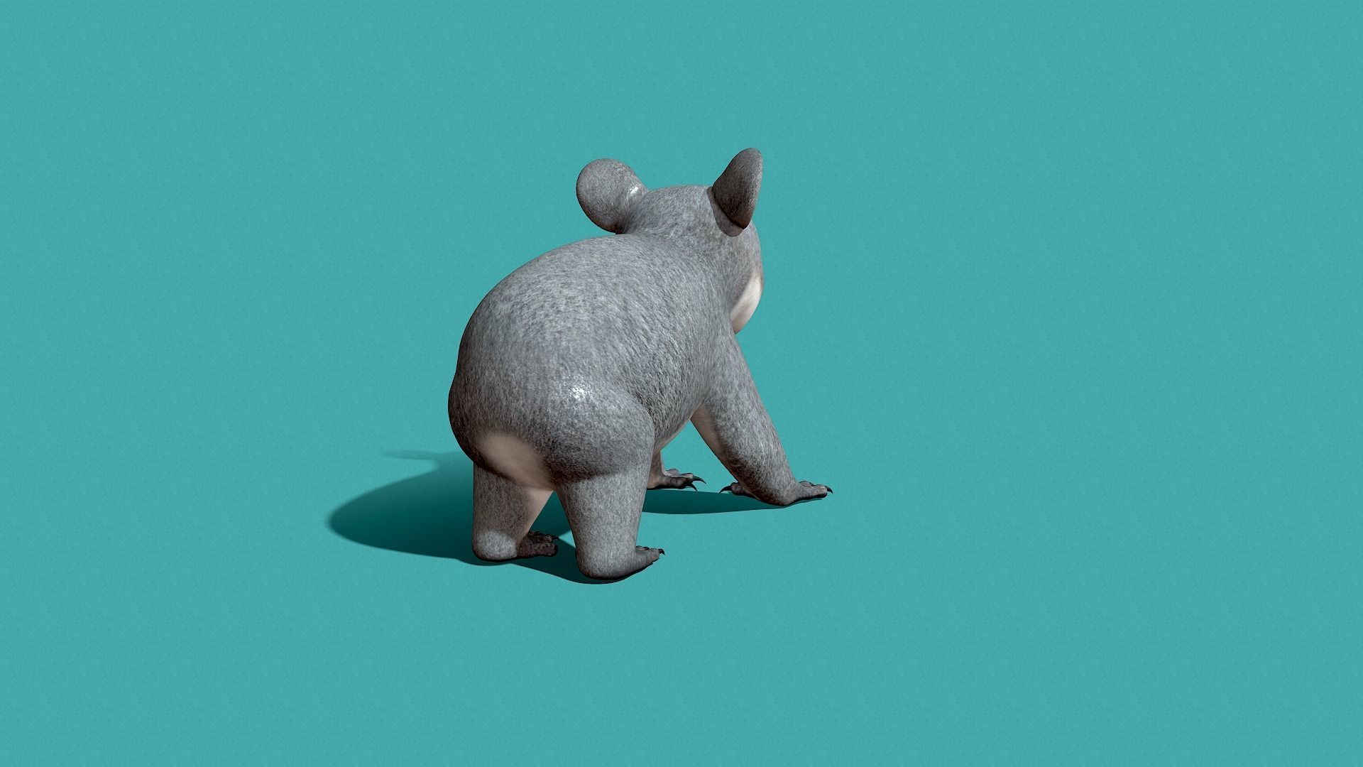 Koala Rigged 3D model_12