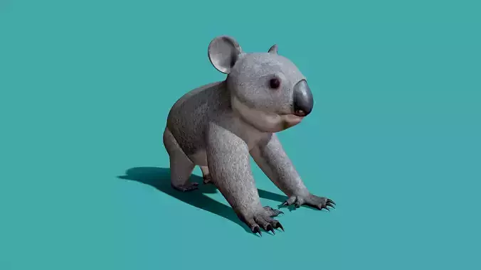 Koala Rigged