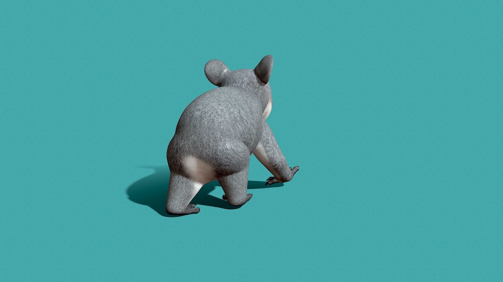 Koala Rigged 3D model_13