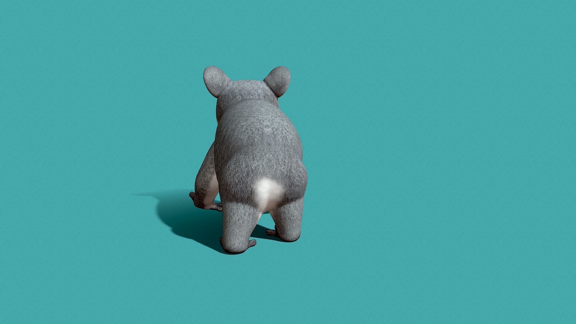 Koala Rigged 3D model_15