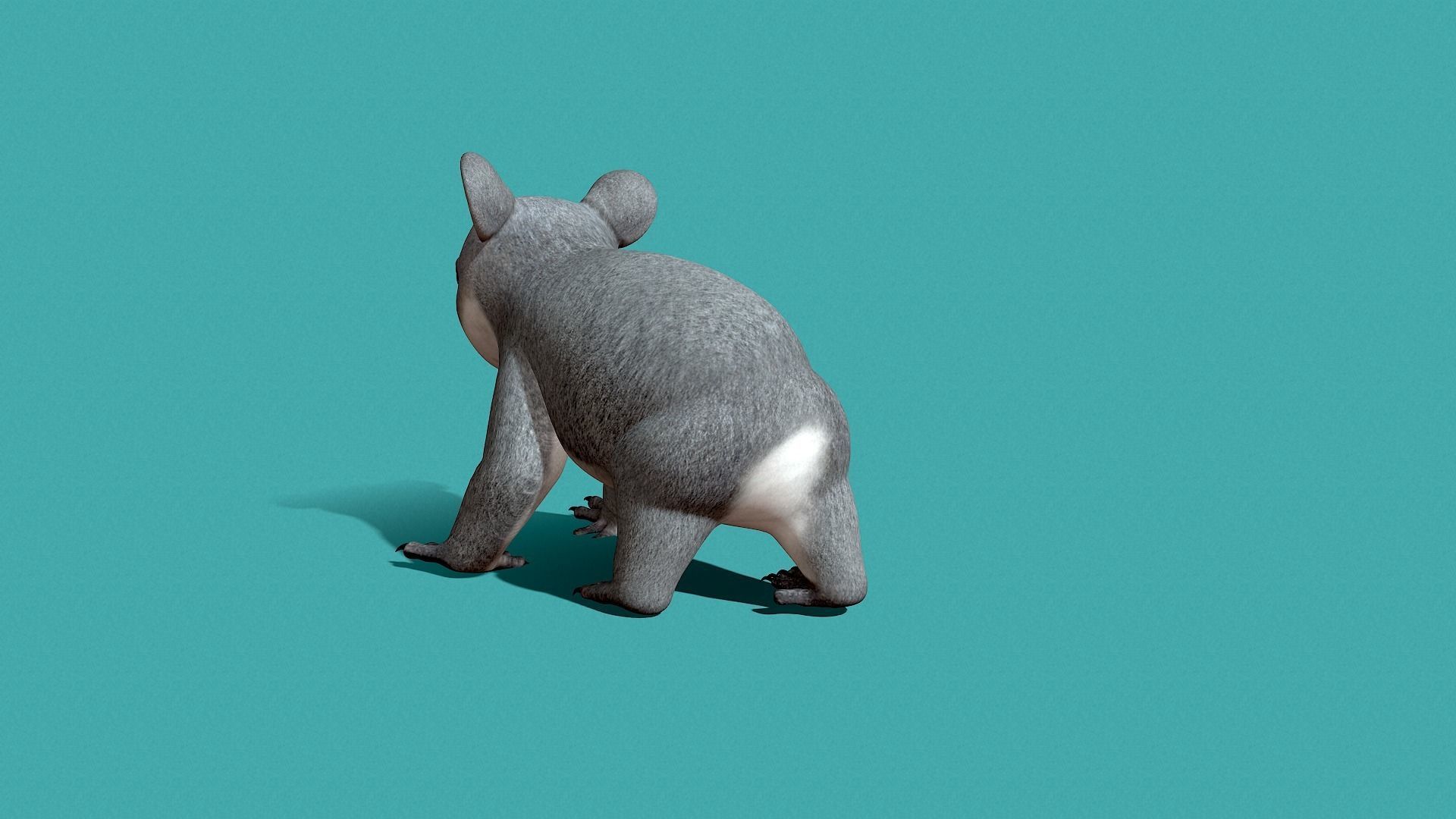 Koala Rigged 3D model_17