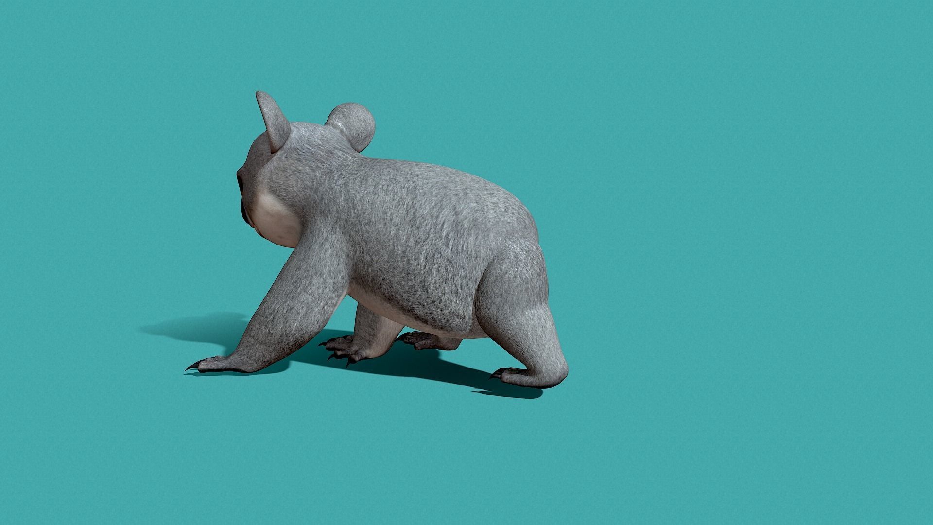 Koala Rigged 3D model_19