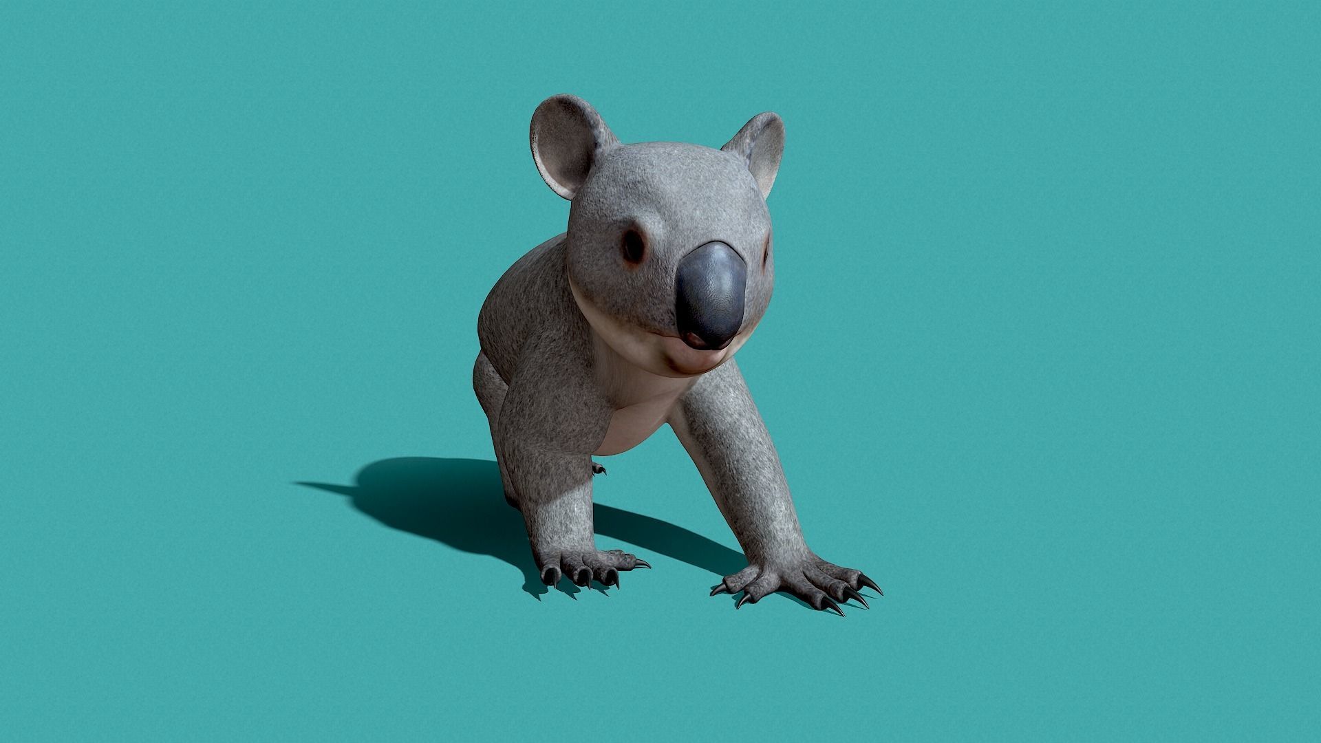 Koala Rigged 3D model_26