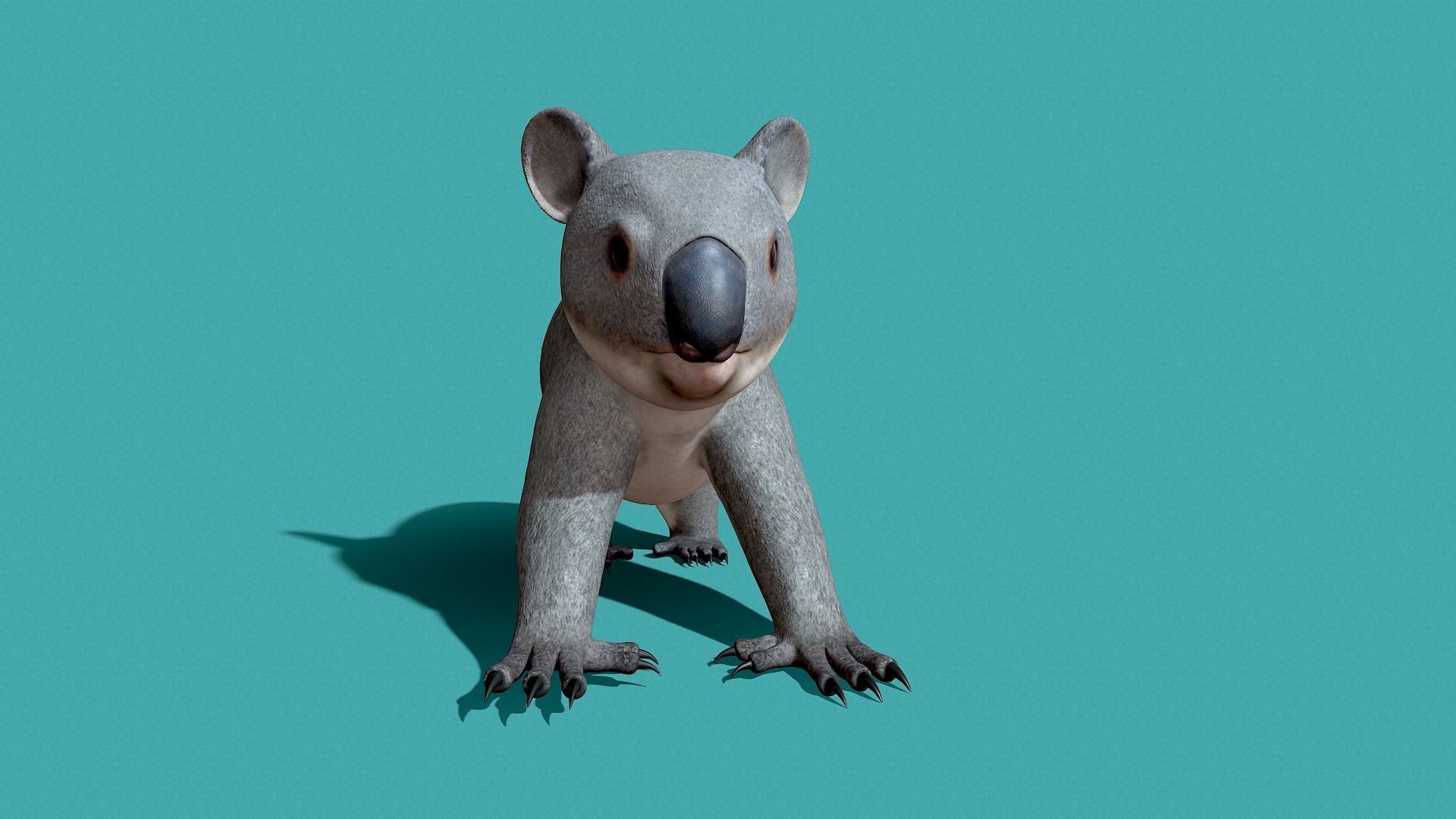 Koala Rigged 3D model_25