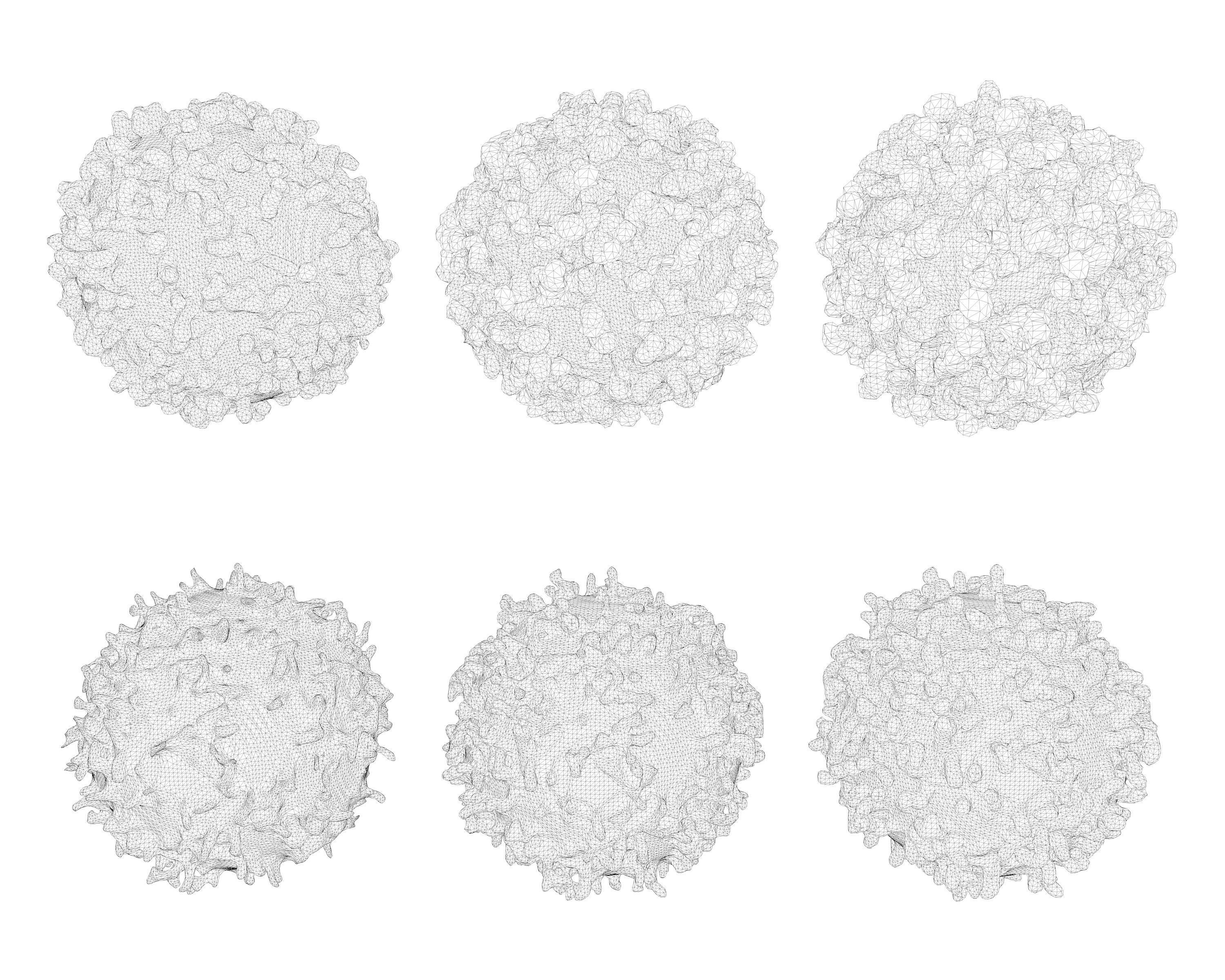 Lymphocyte coronavirus spheres 3D model_5