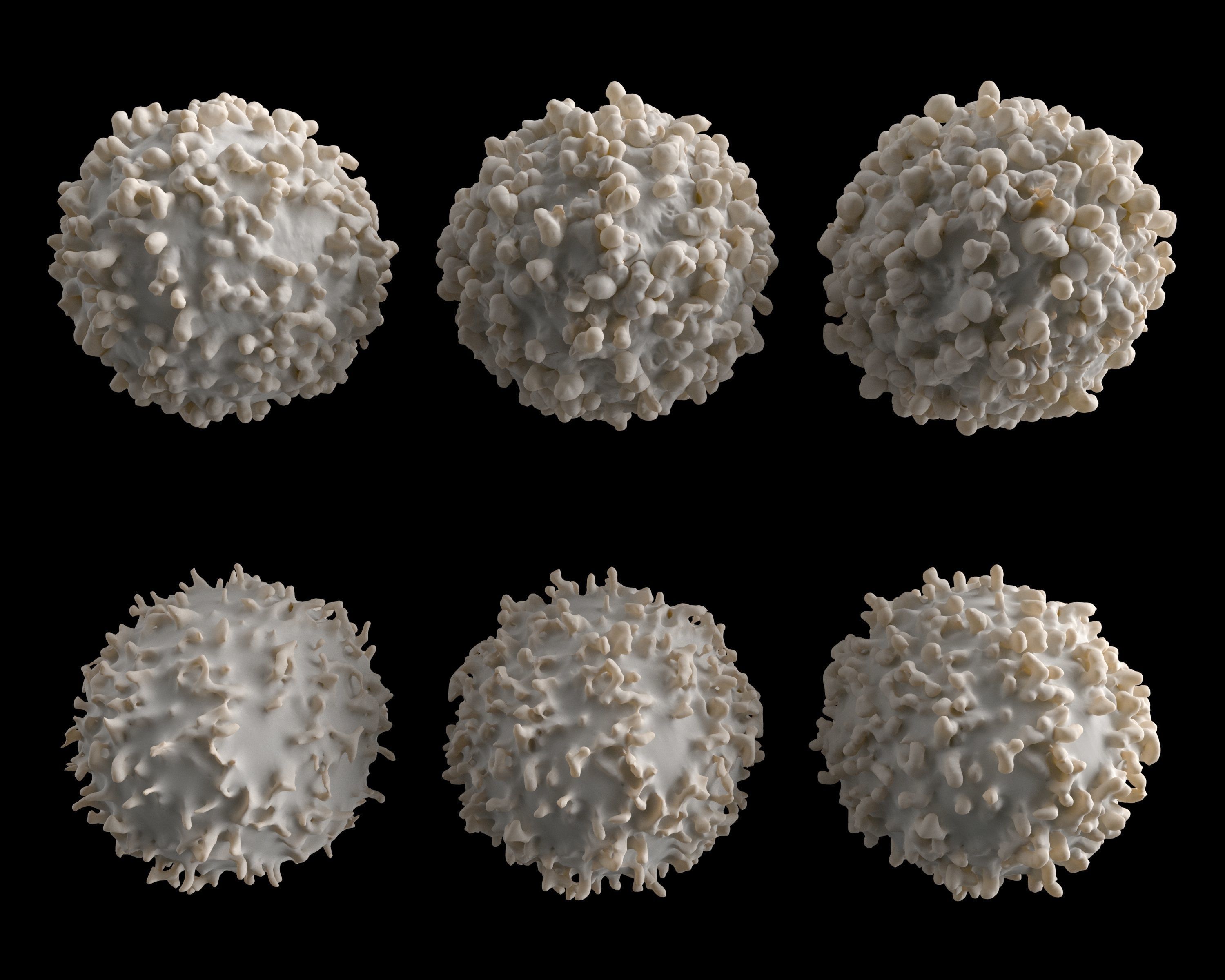 Lymphocyte coronavirus spheres 3D model_2