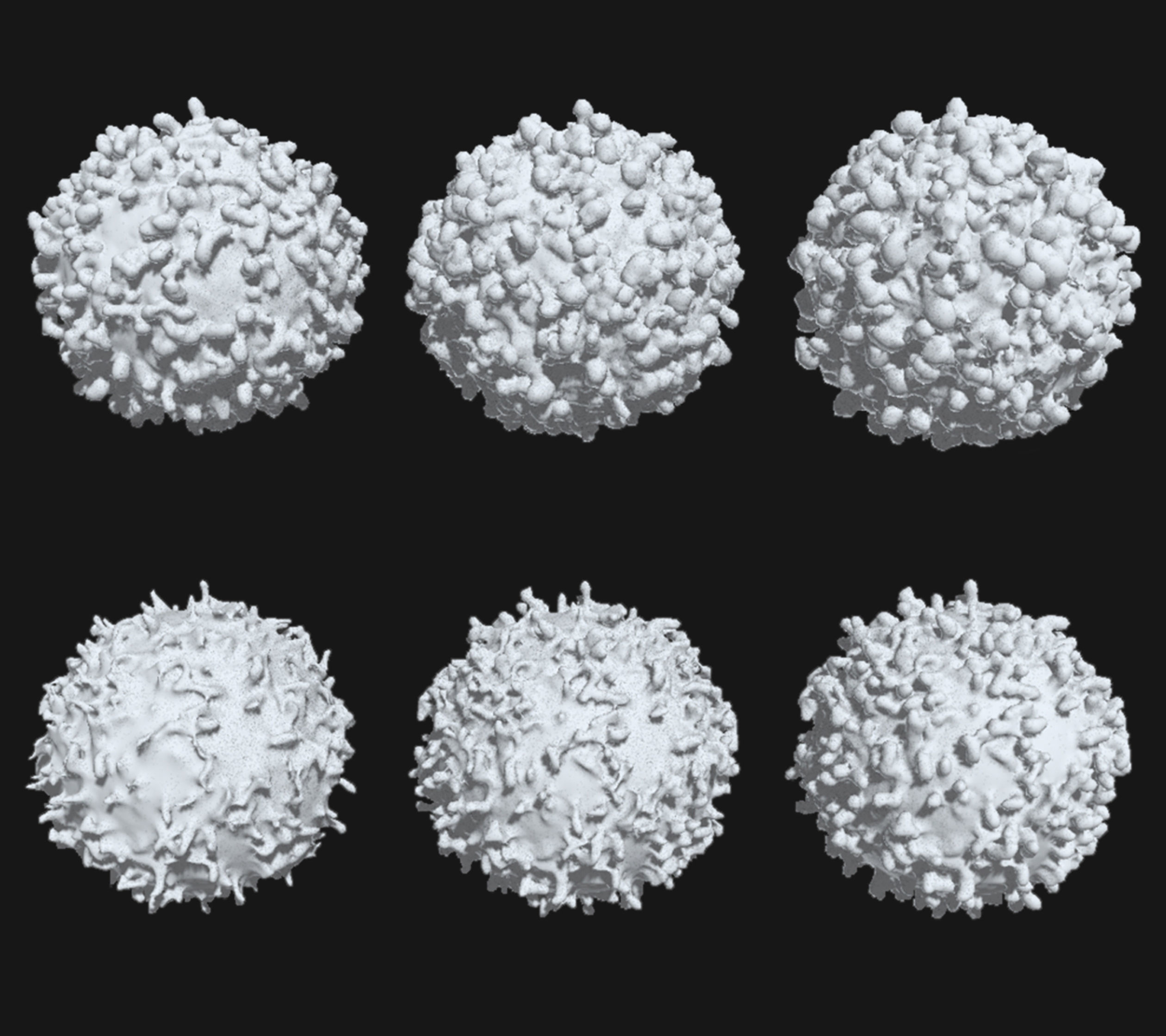 Lymphocyte coronavirus spheres 3D model_3