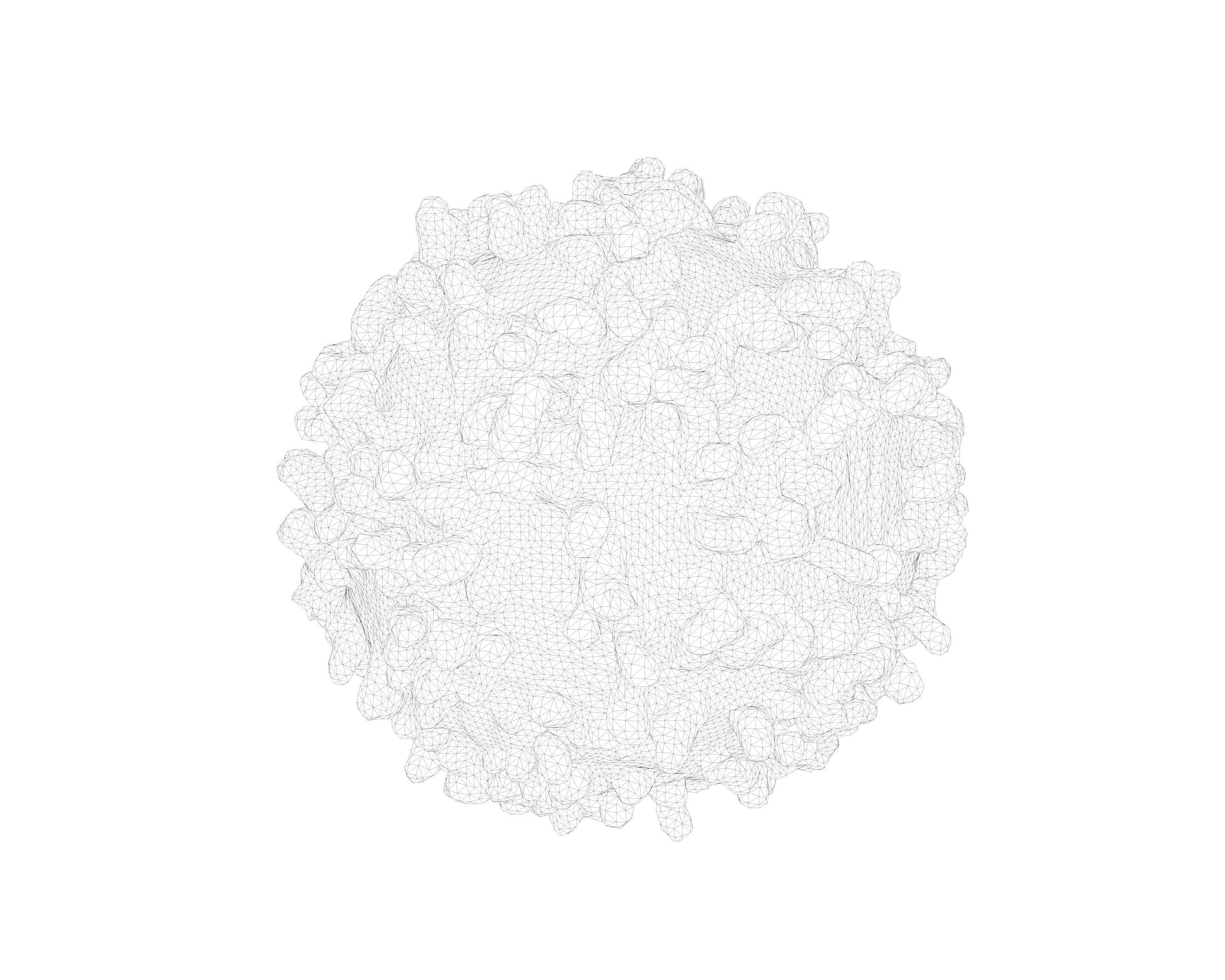 Lymphocyte coronavirus spheres 3D model_6