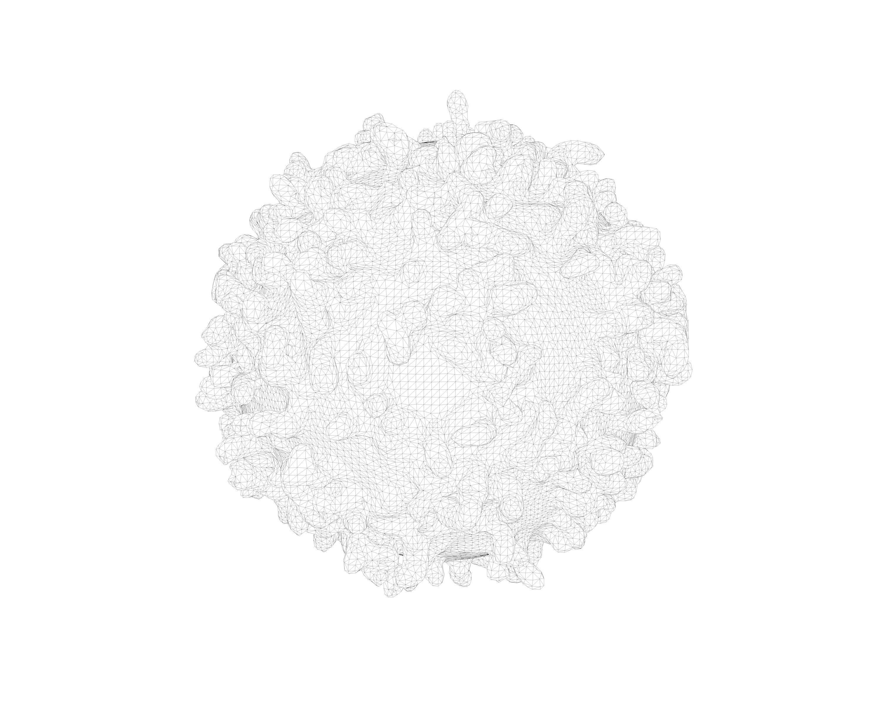 Lymphocyte coronavirus spheres 3D model_7