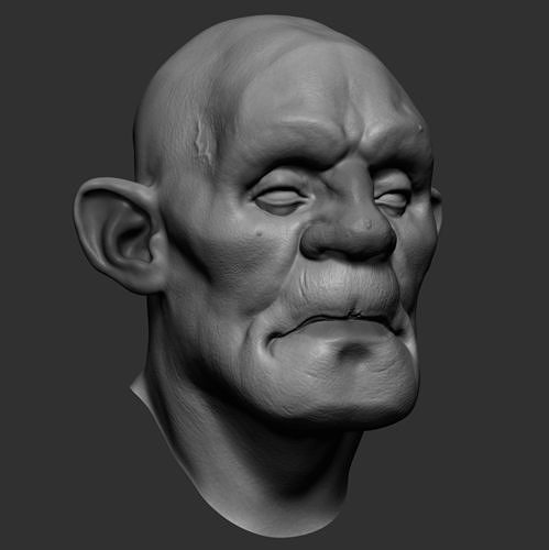 Head Models 3D model