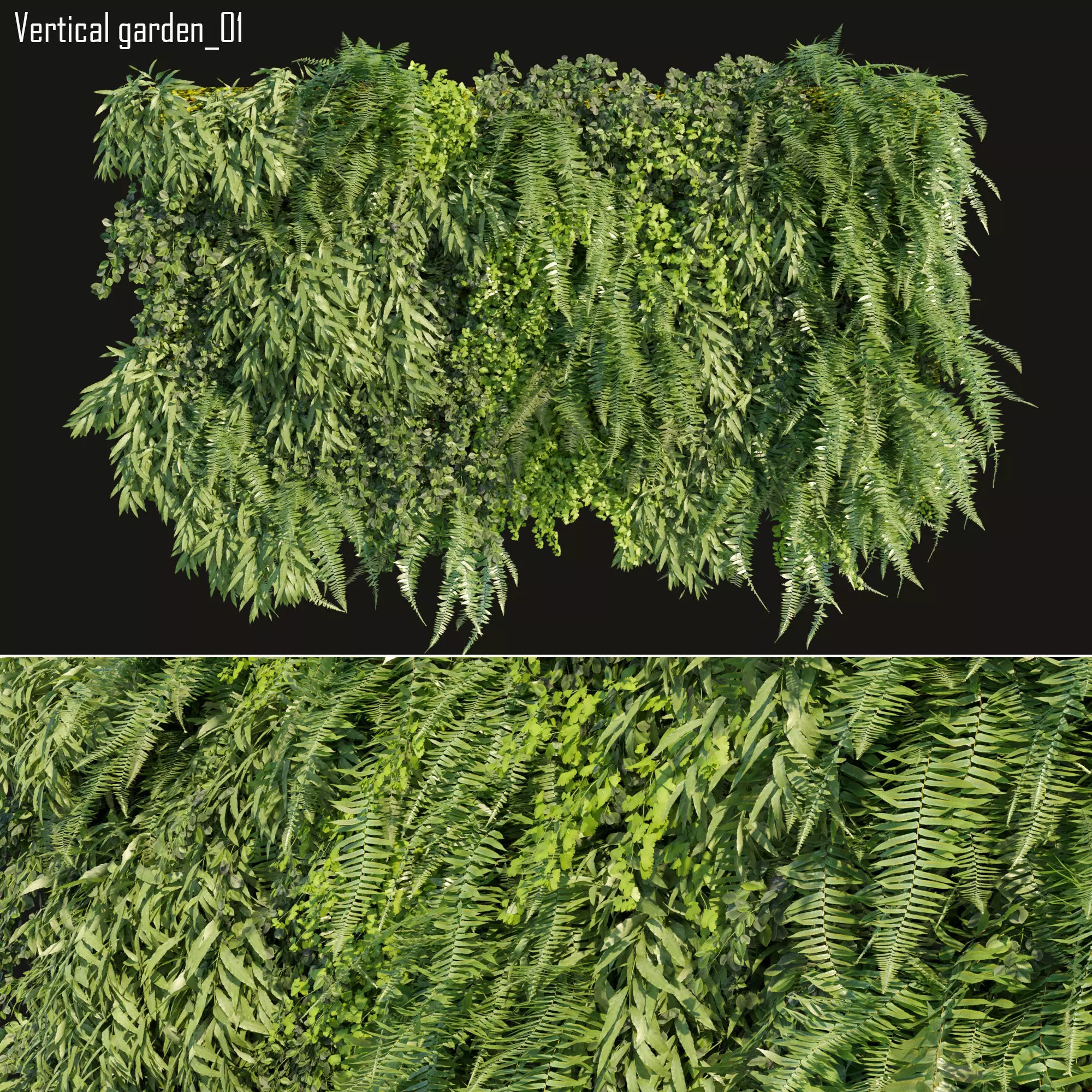 Vertical garden 01 3D model_0