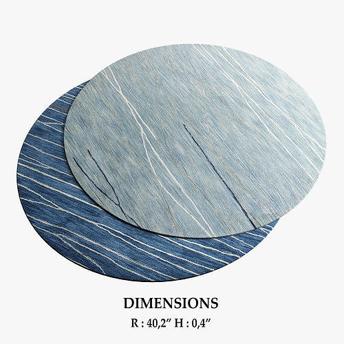 ALLMODERN Rugs 273 3D model