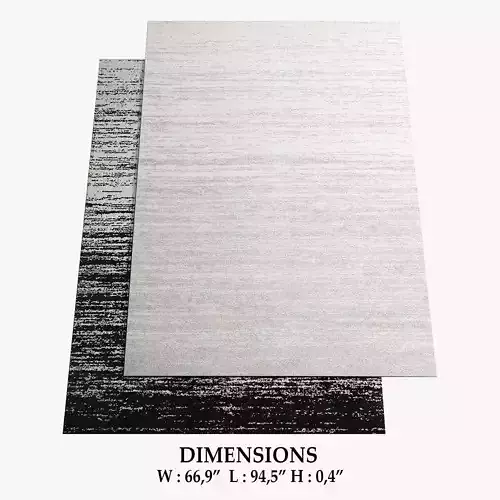 ALLMODERN Rugs 276 3D model
