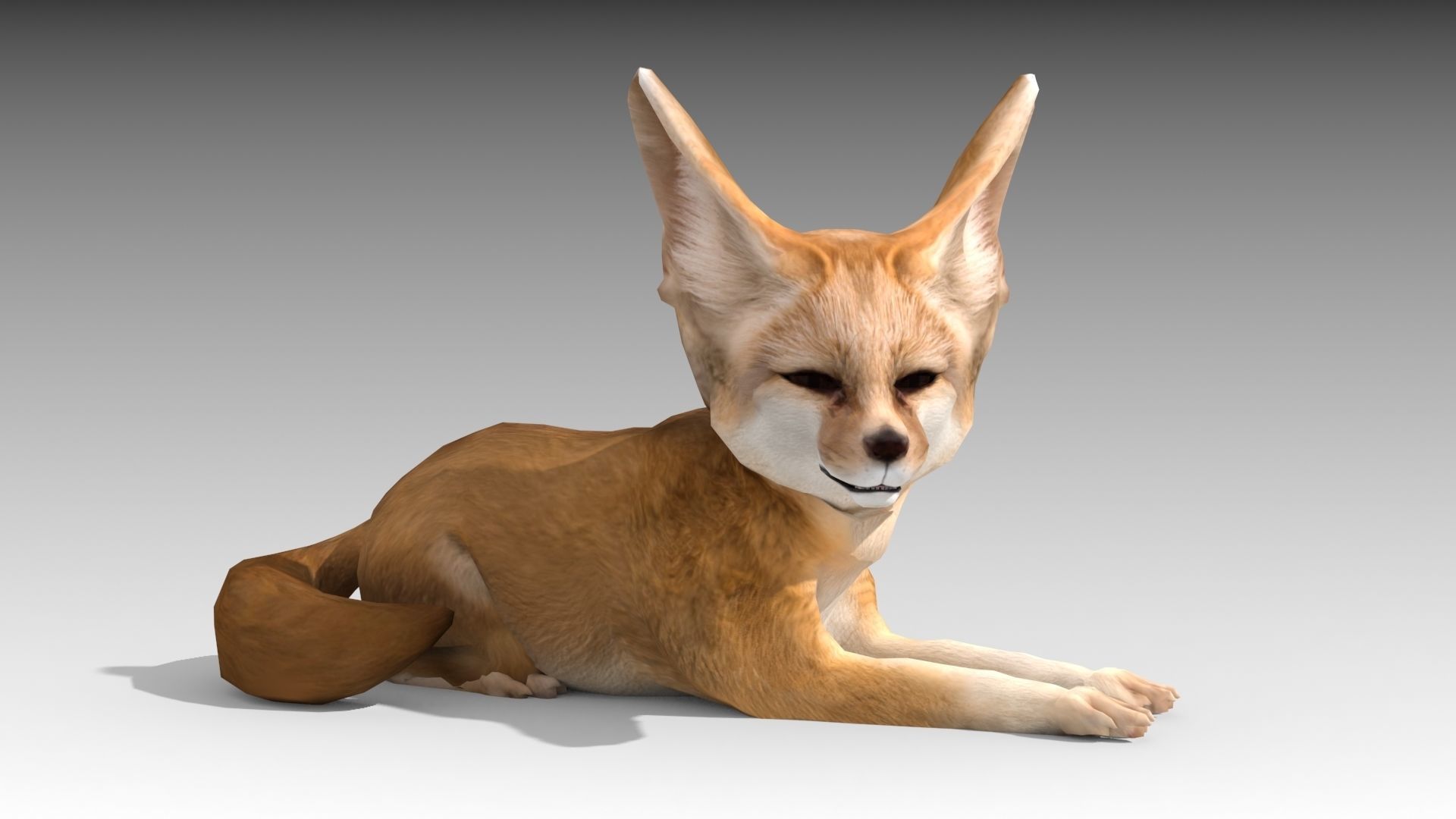 Fennec fox 3D model_8