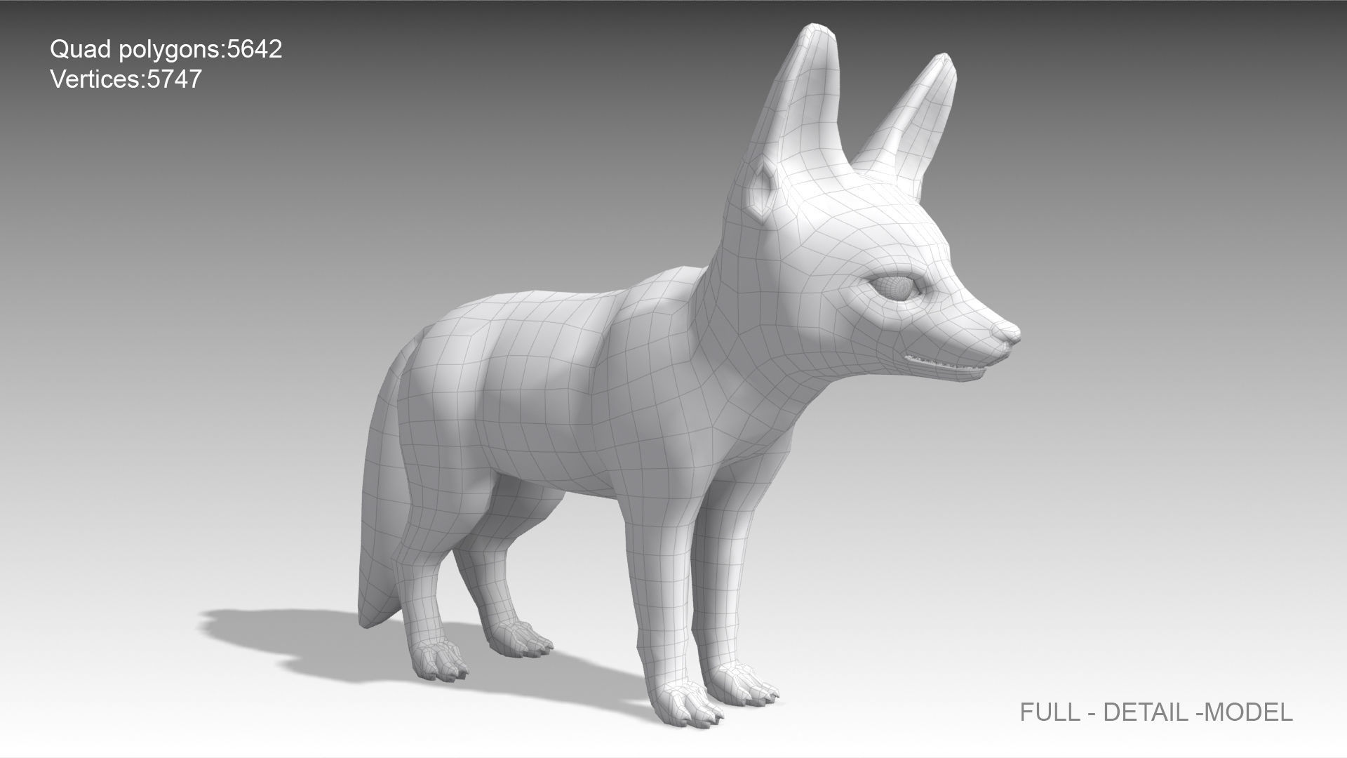 Fennec fox 3D model_10