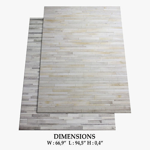 ALLMODERN Rugs 278 3D model