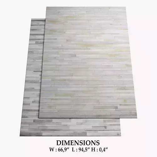 ALLMODERN Rugs 278 3D model
